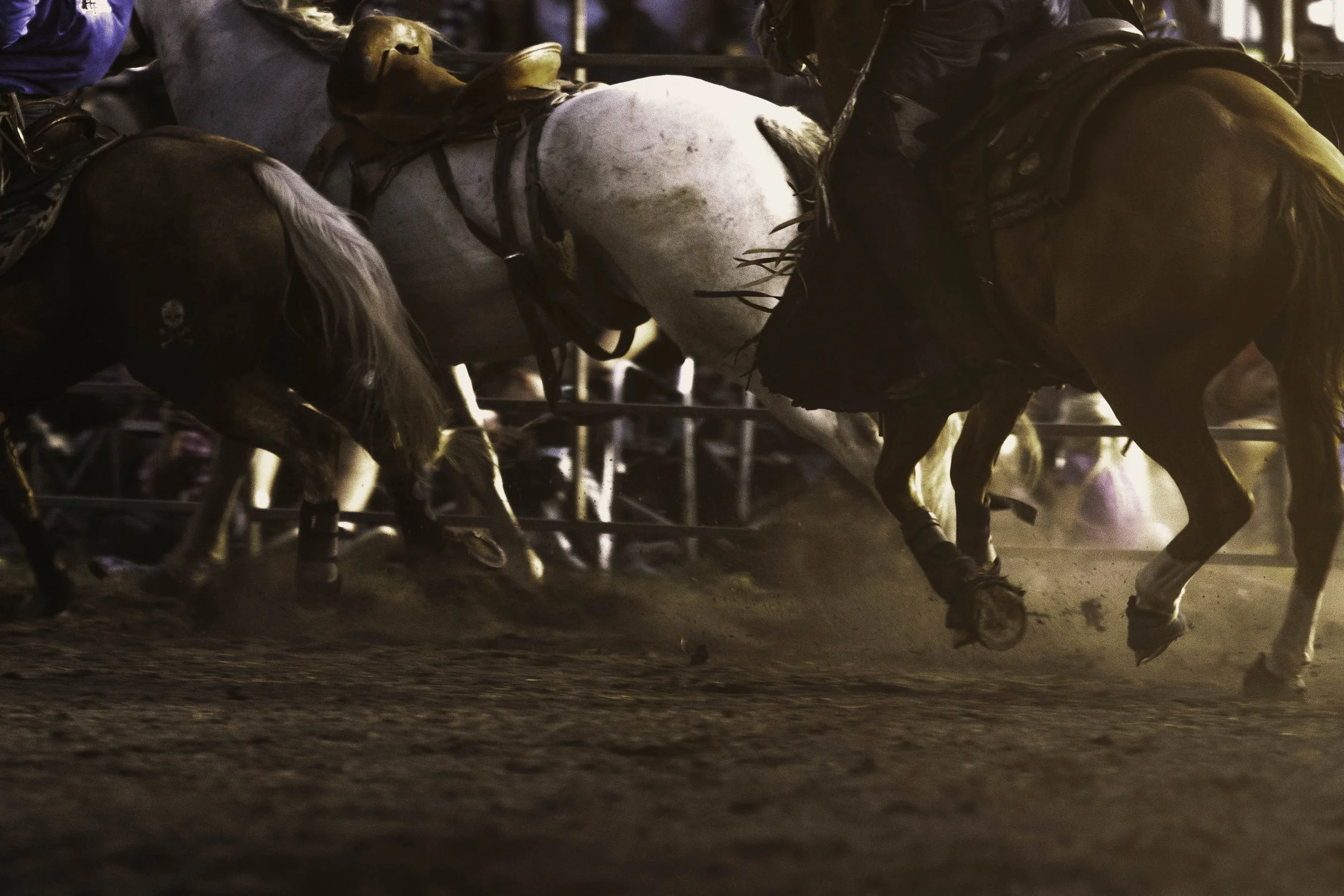 IMBIL RODEO_08 copy 2.jpg