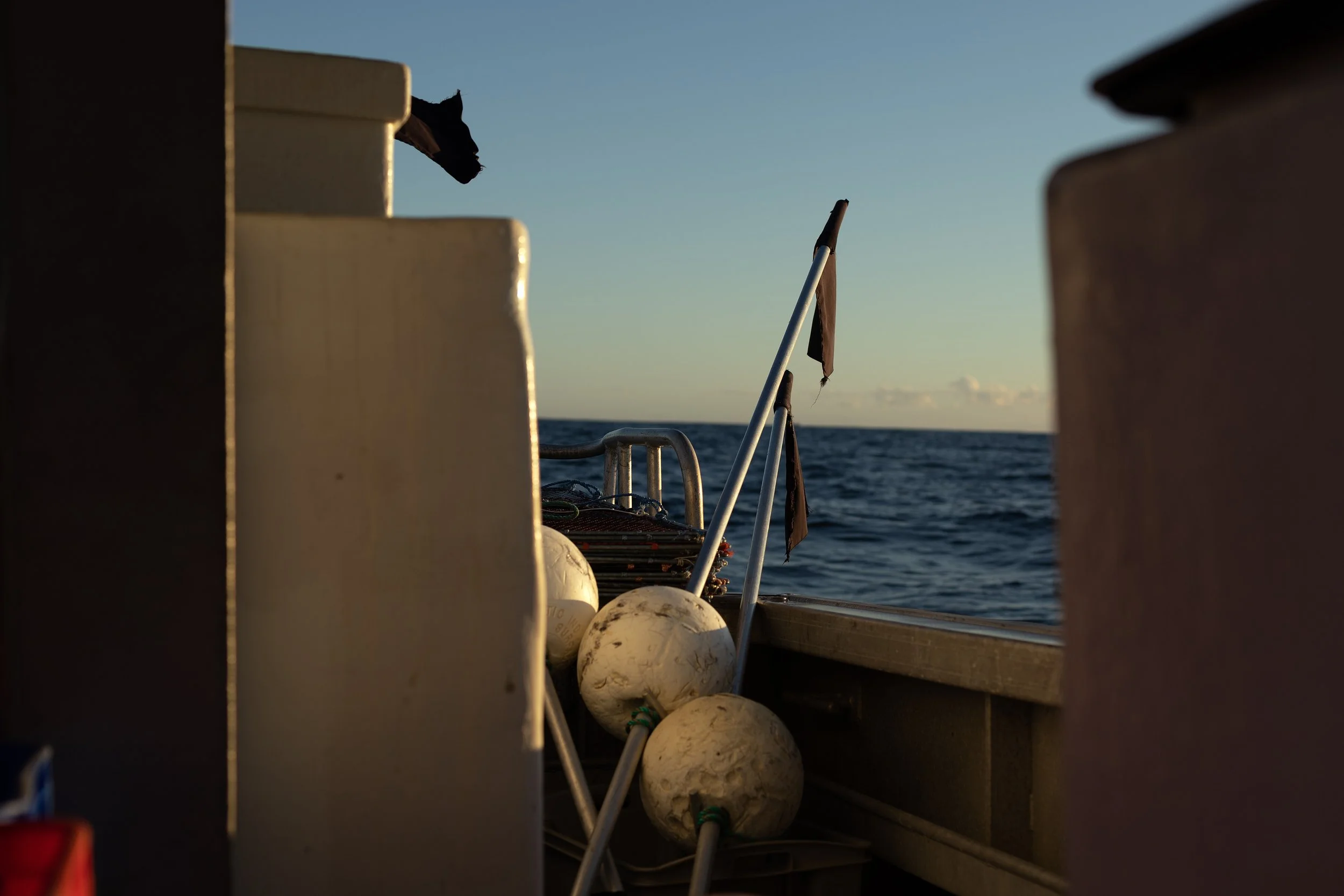 CSP - AUSSIE SPANNER CRAB - TRAWLER 44.jpg