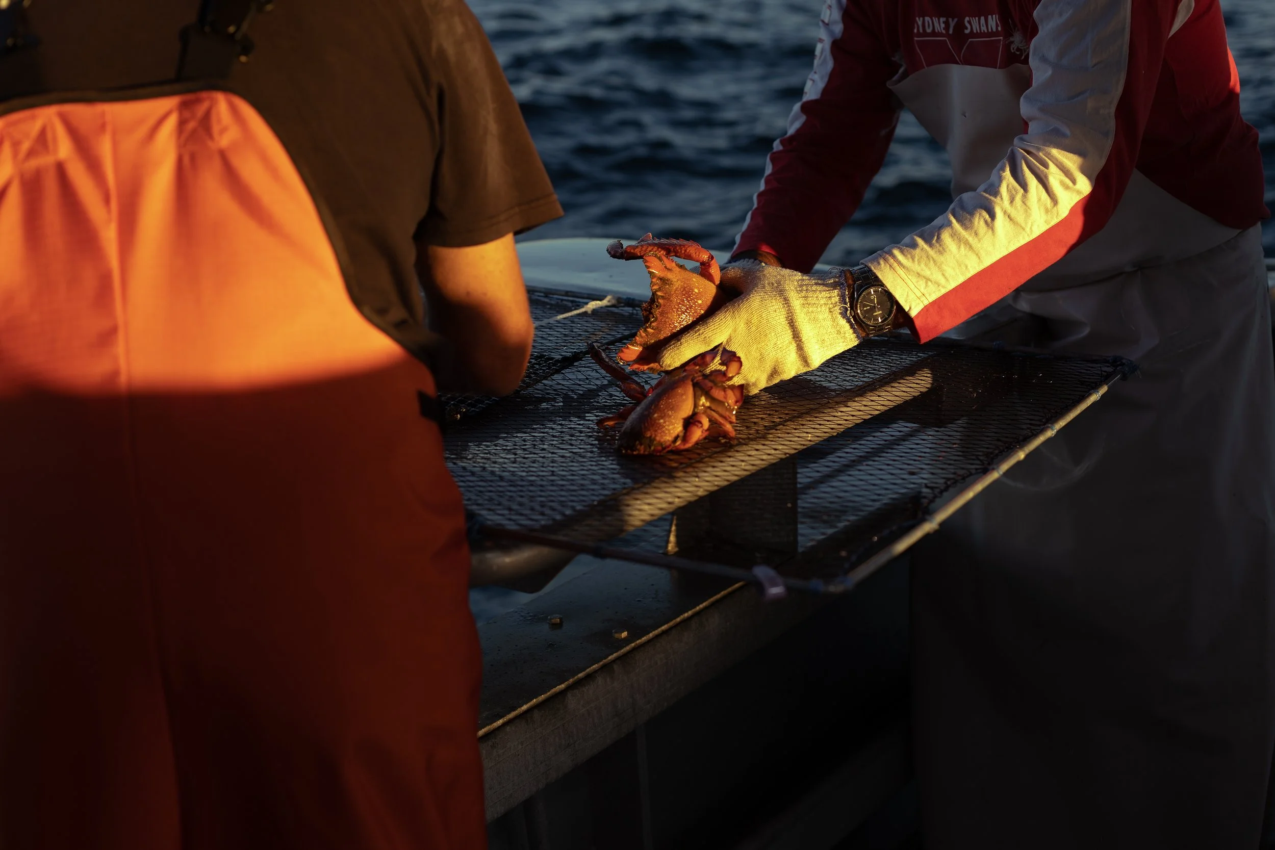 CSP - AUSSIE SPANNER CRAB - TRAWLER 41.jpg