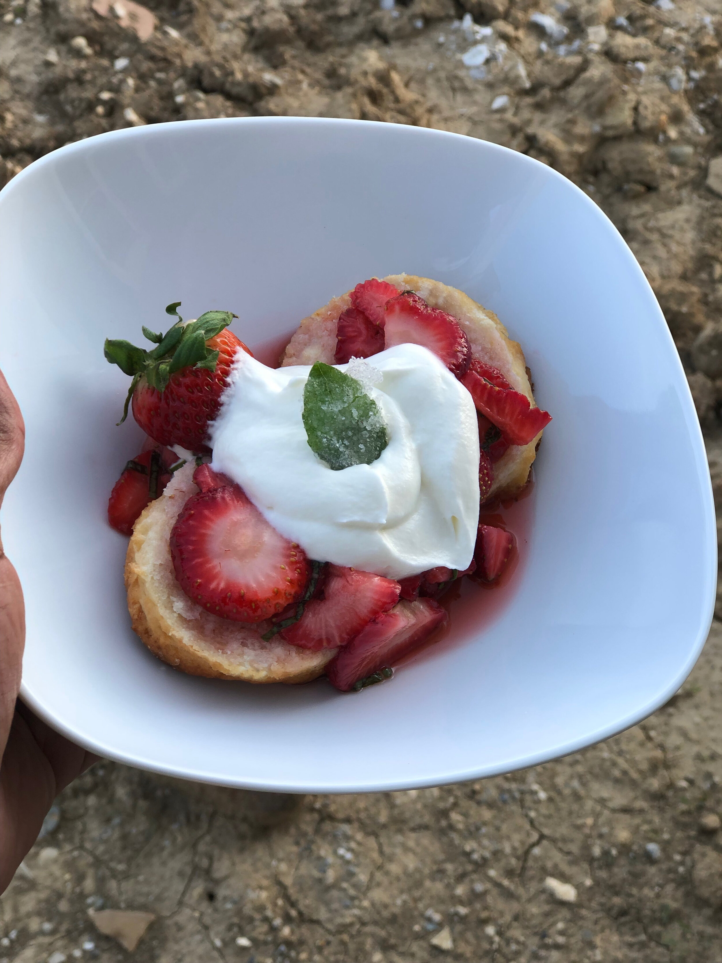 Strawberry Basil Shortcake