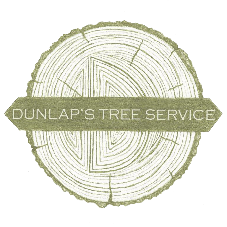 Dunlap&#39;s Tree Service