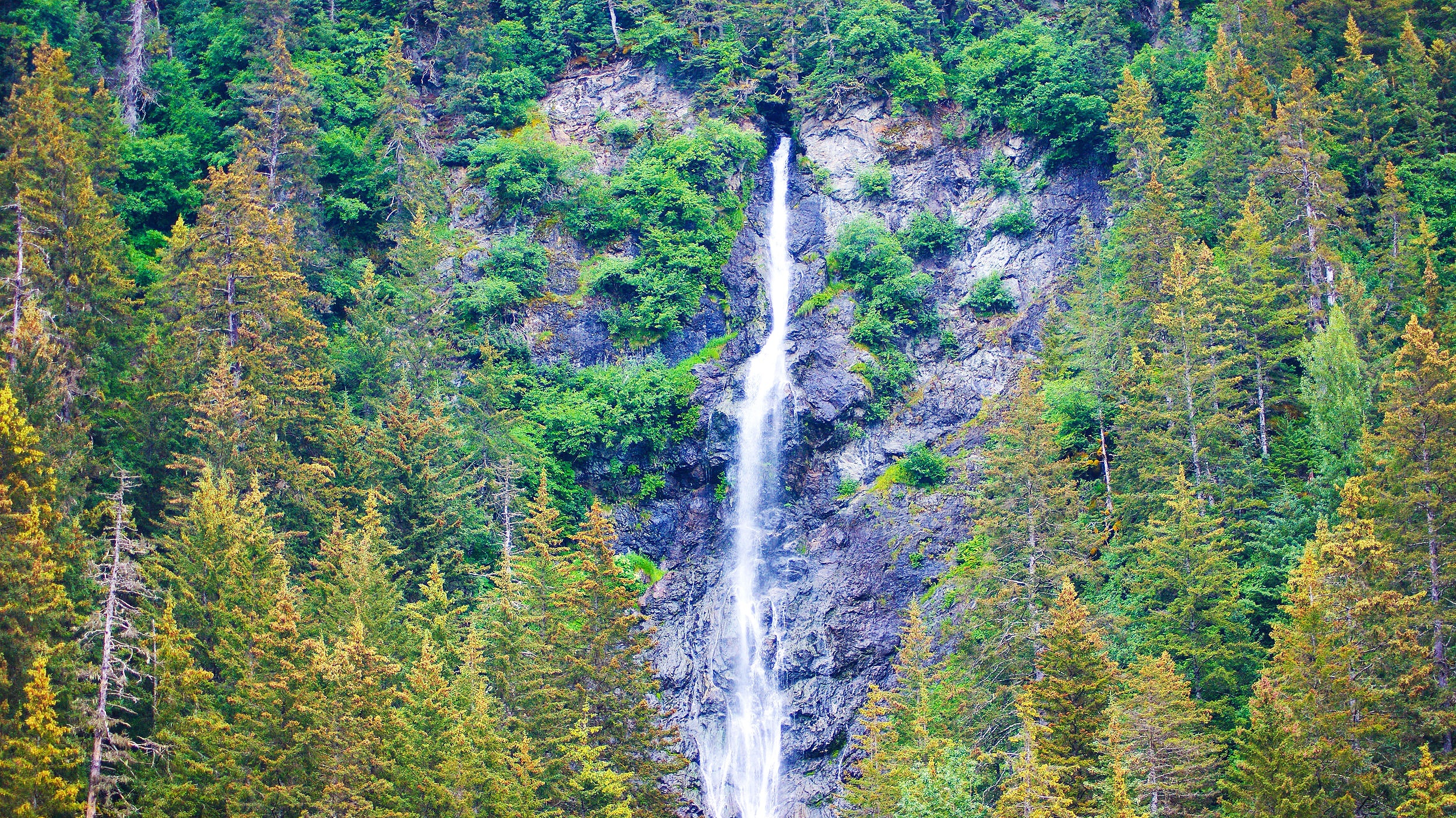 DSC02621-4second-2.jpg