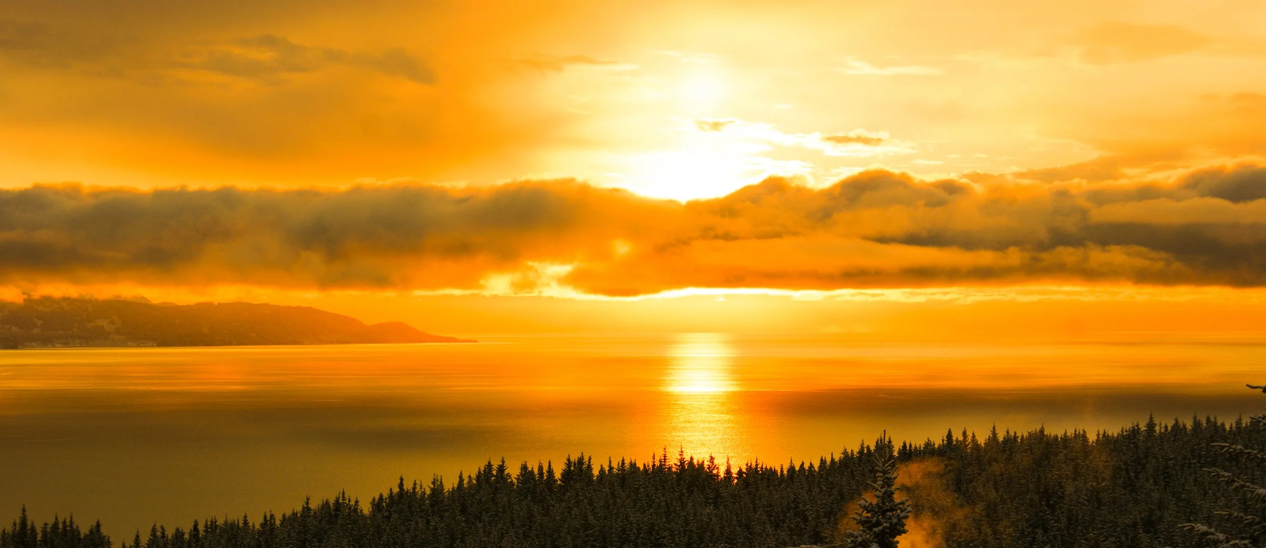 DSC06061second 2 copy.jpg