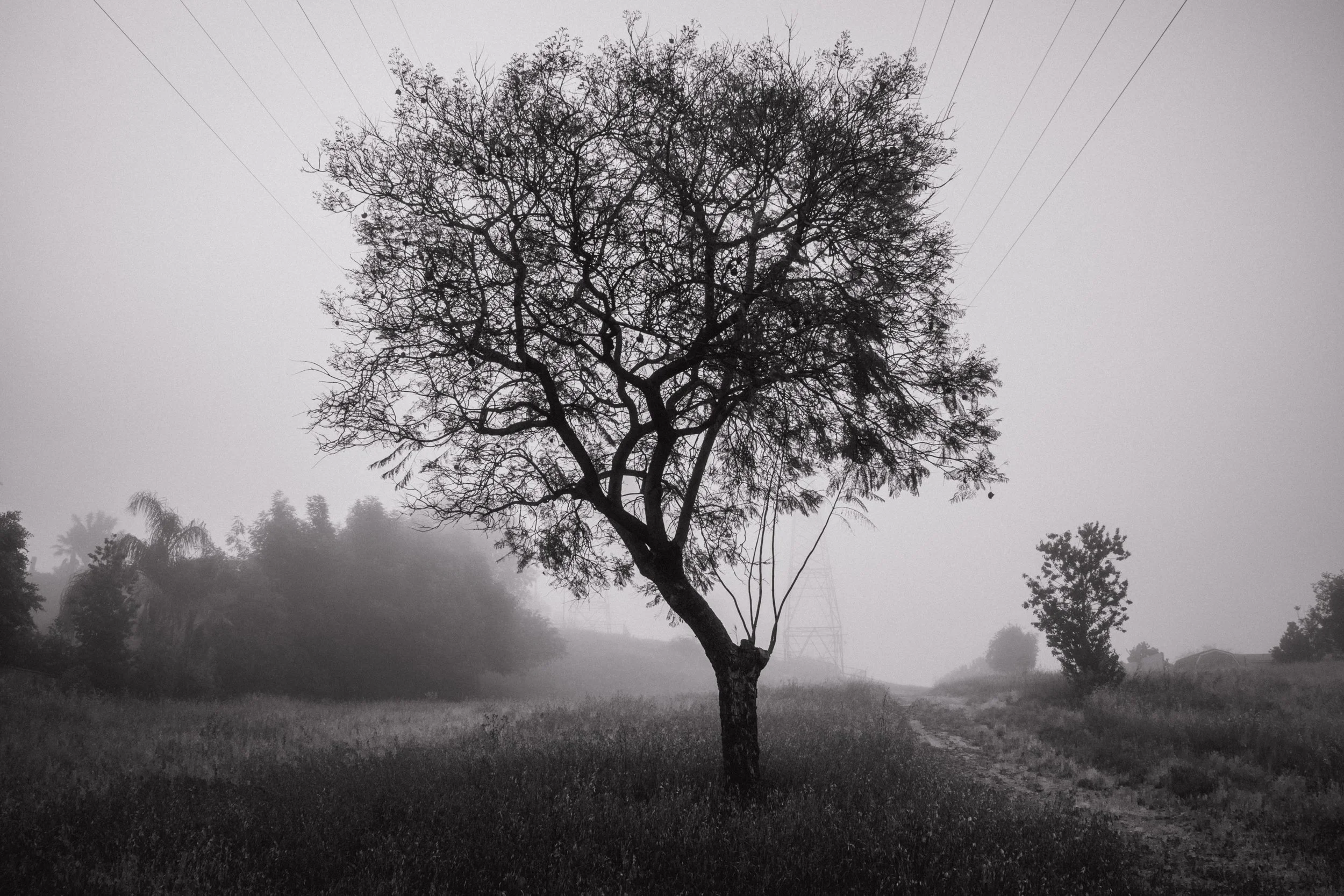 DSC_7308-HDR.jpg