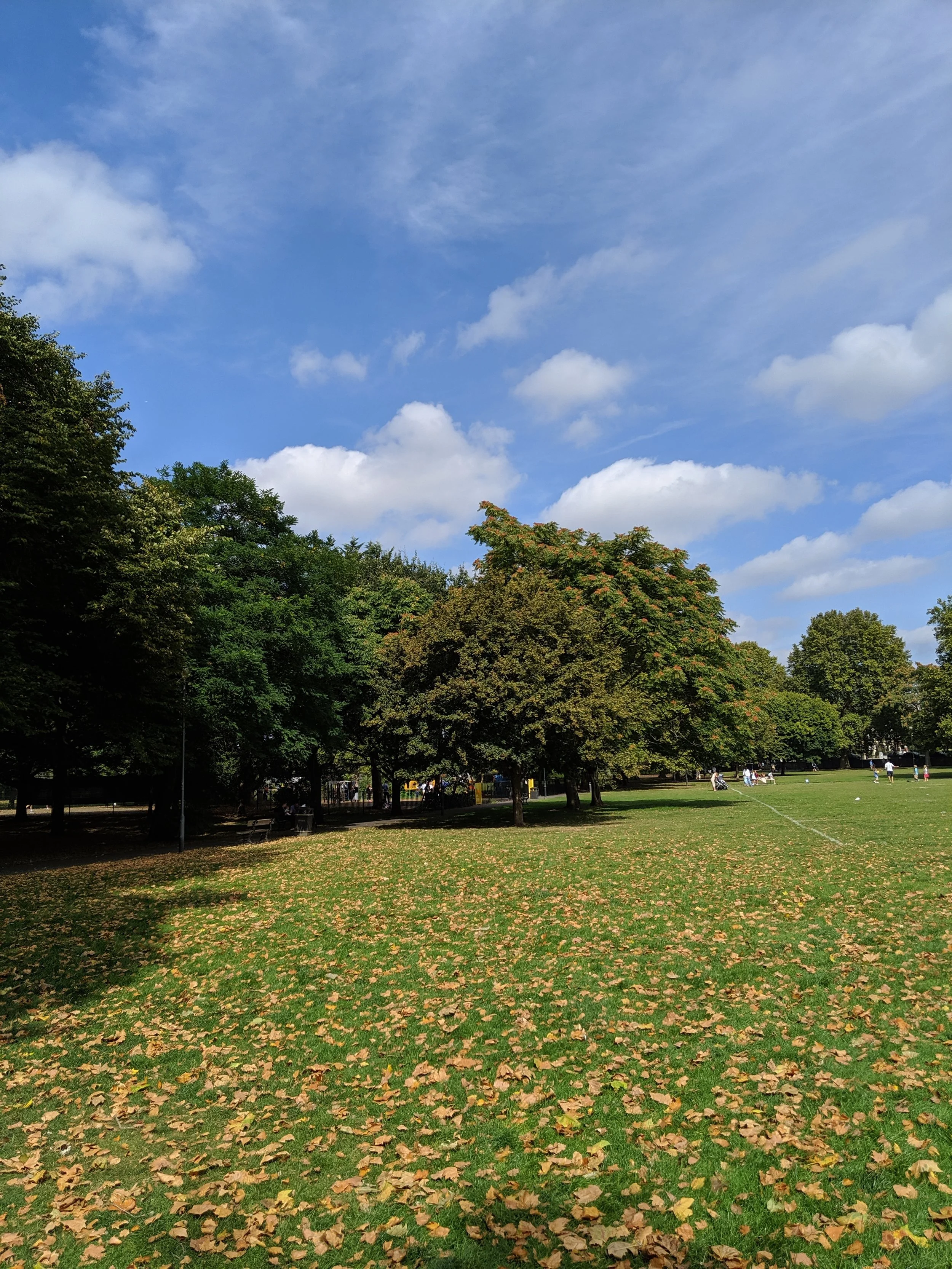 IMG_20190831_113928.jpg