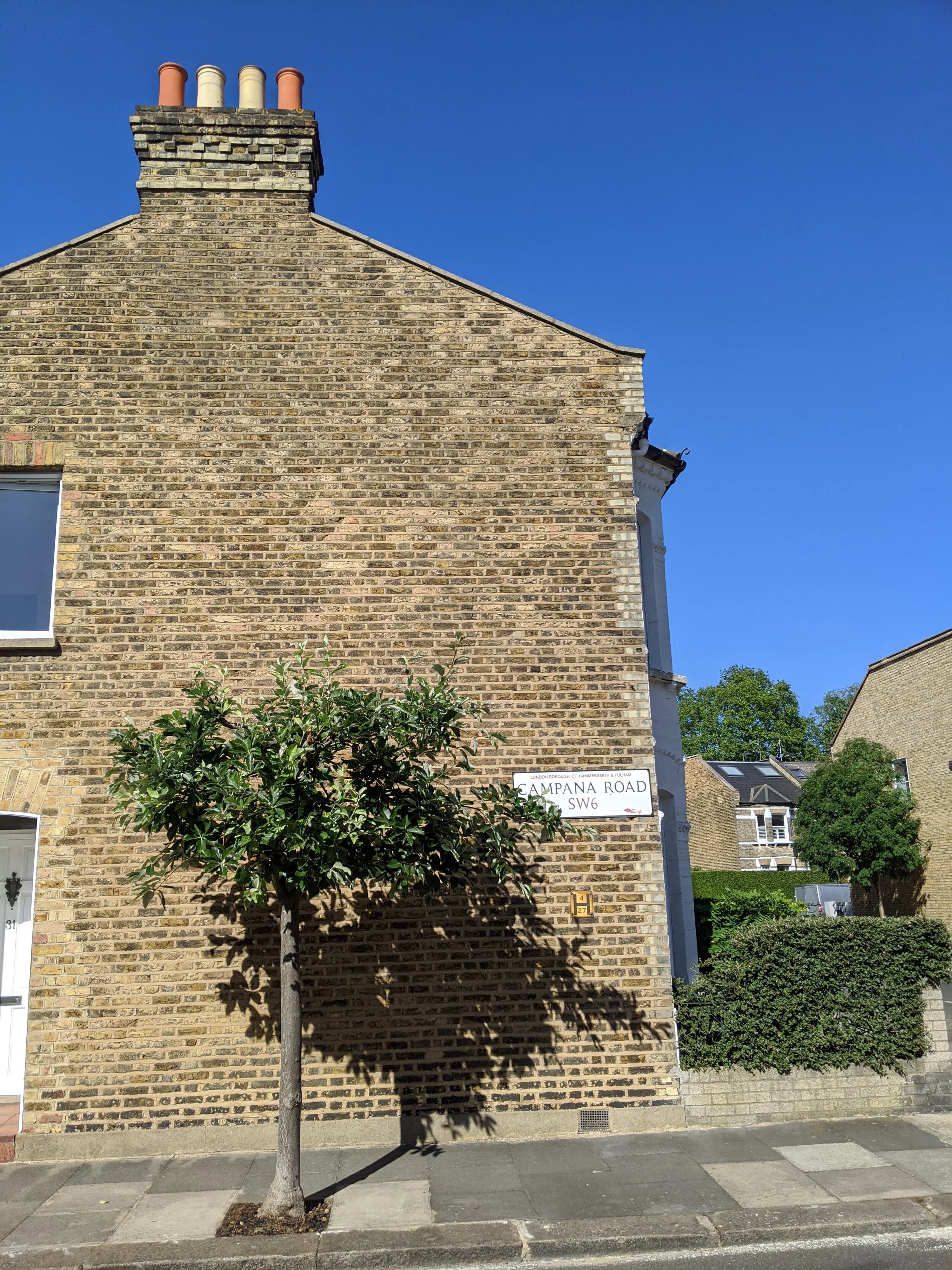 IMG_20200529_164512 (1).jpg