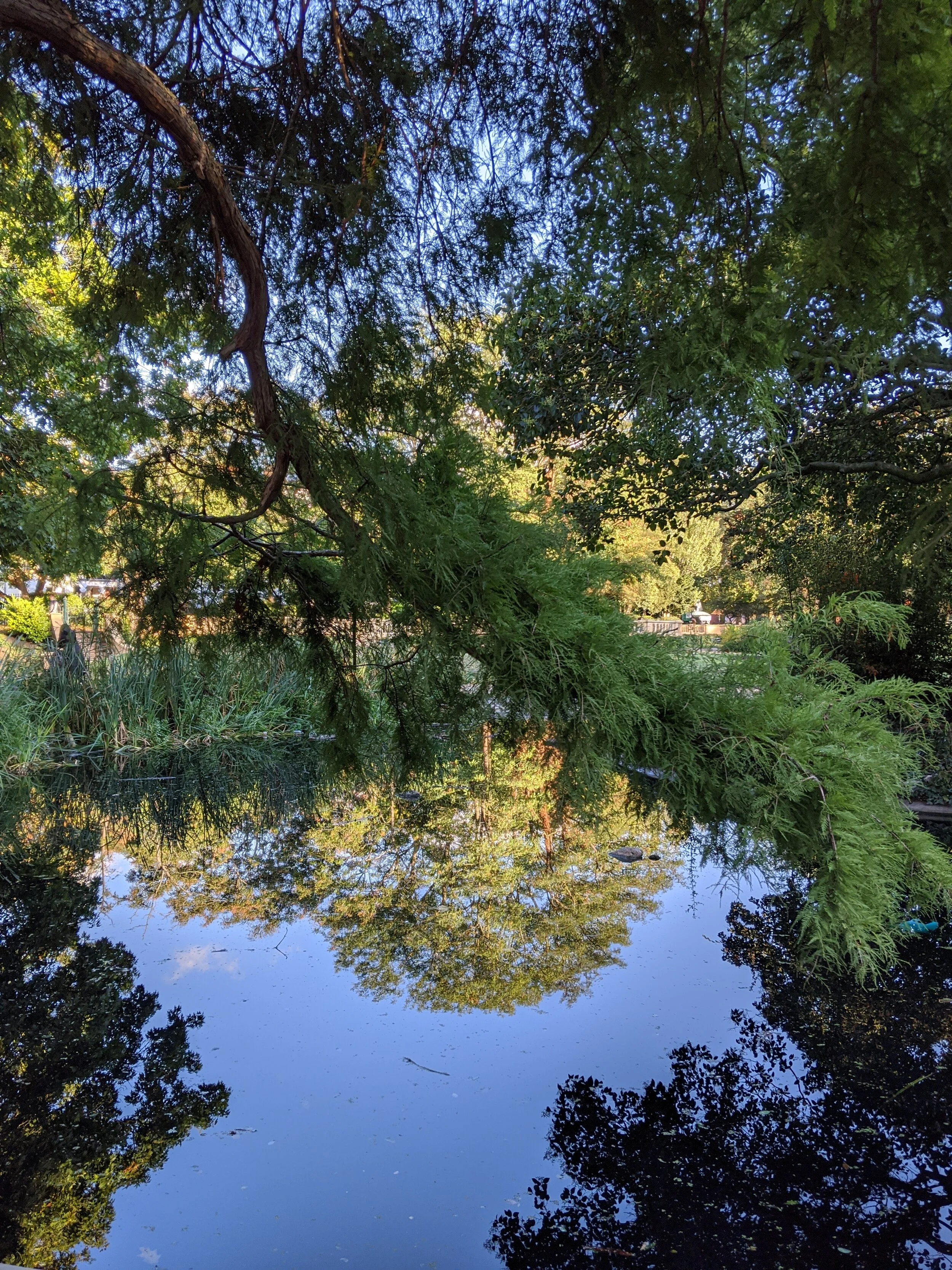 IMG_20200929_170907 (1).jpg