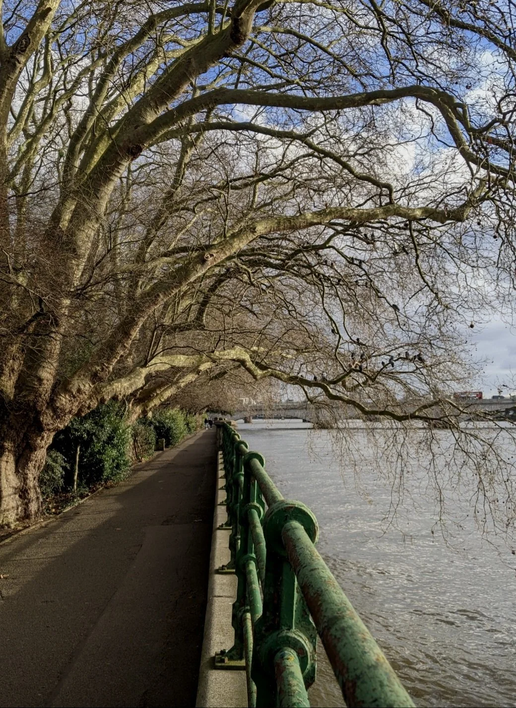 Screenshot_20220130-135455.jpg