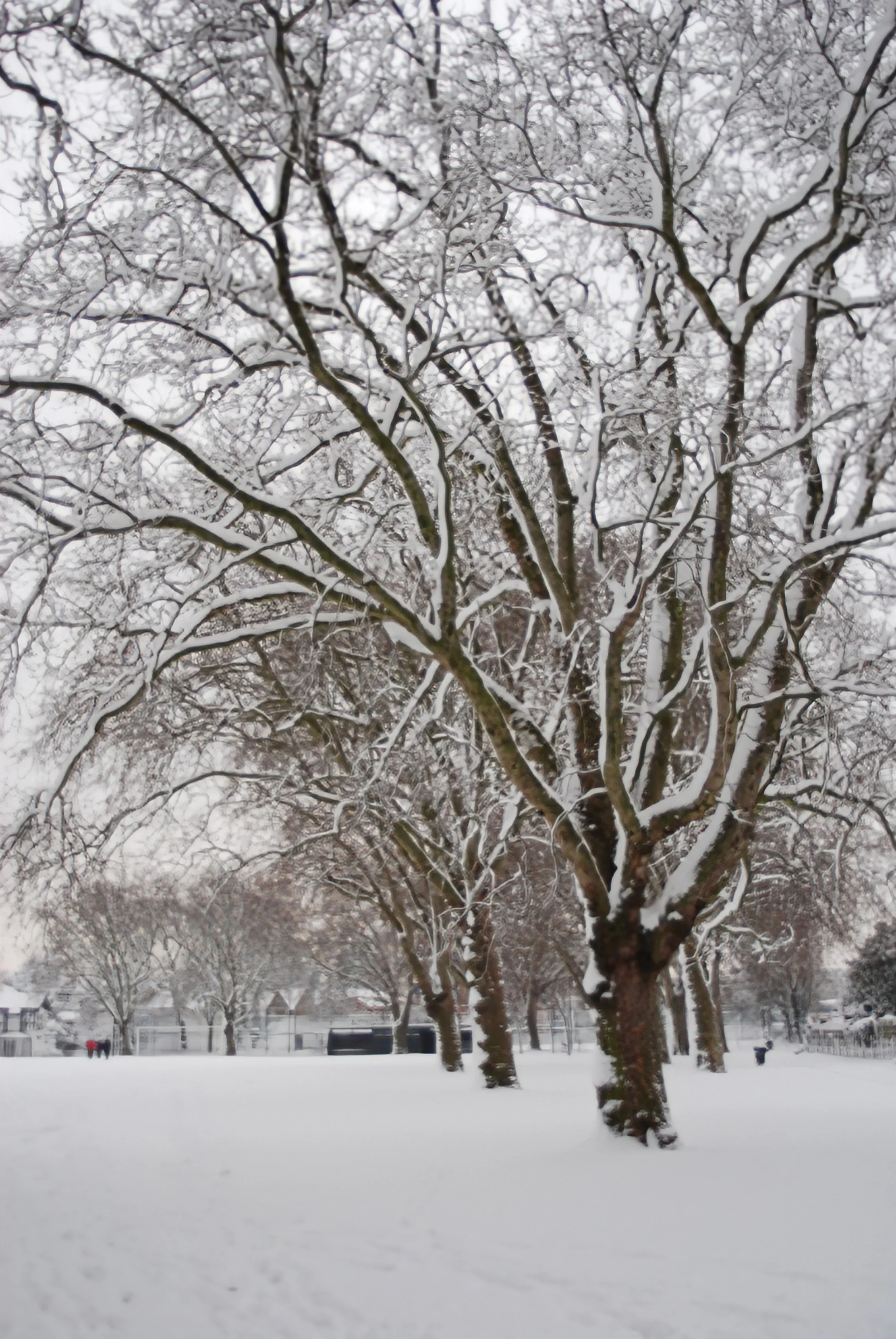 DSC_0038~2.JPG