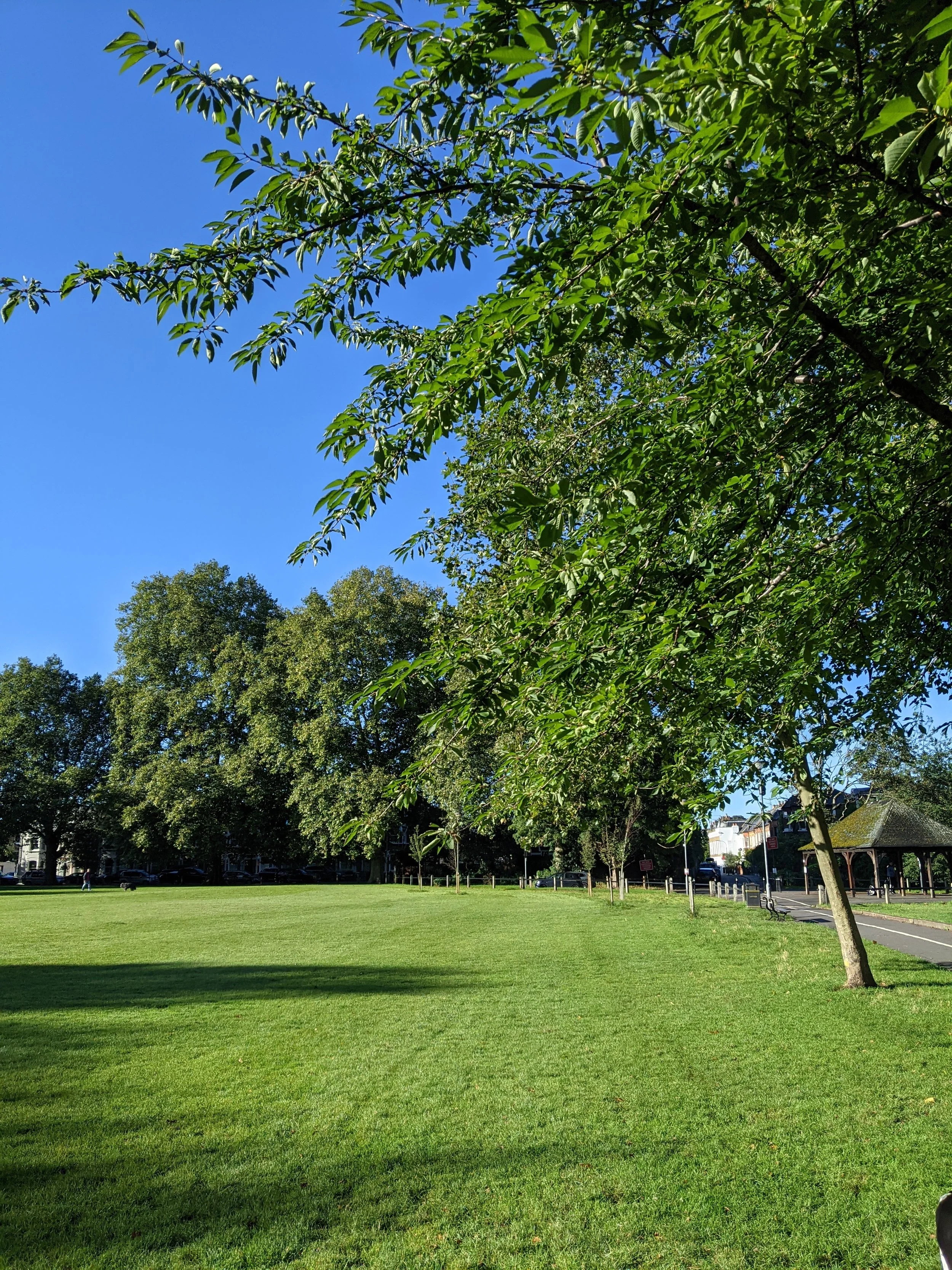 Eel Brook Common in Fulham