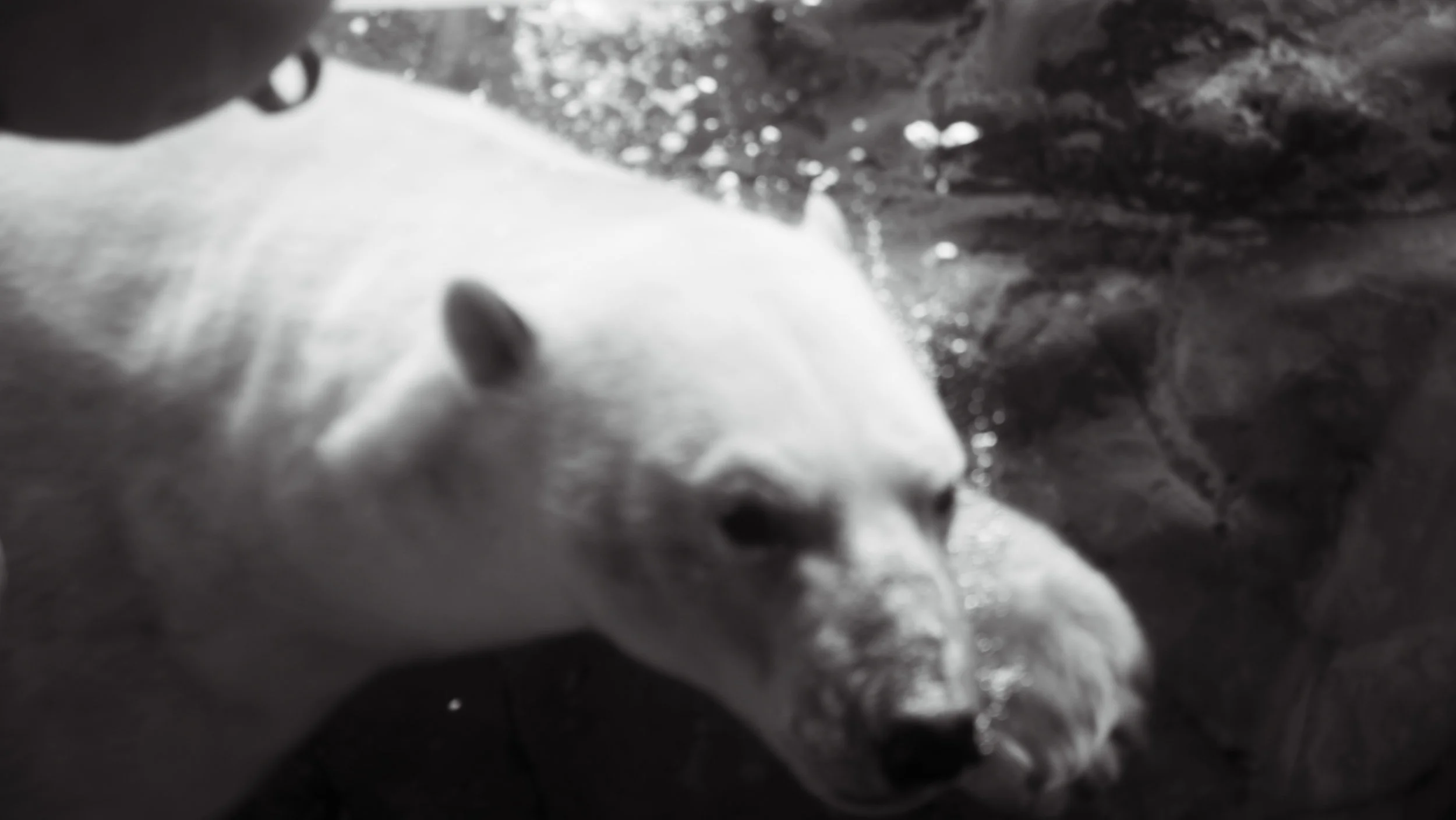 crying under water.jpg