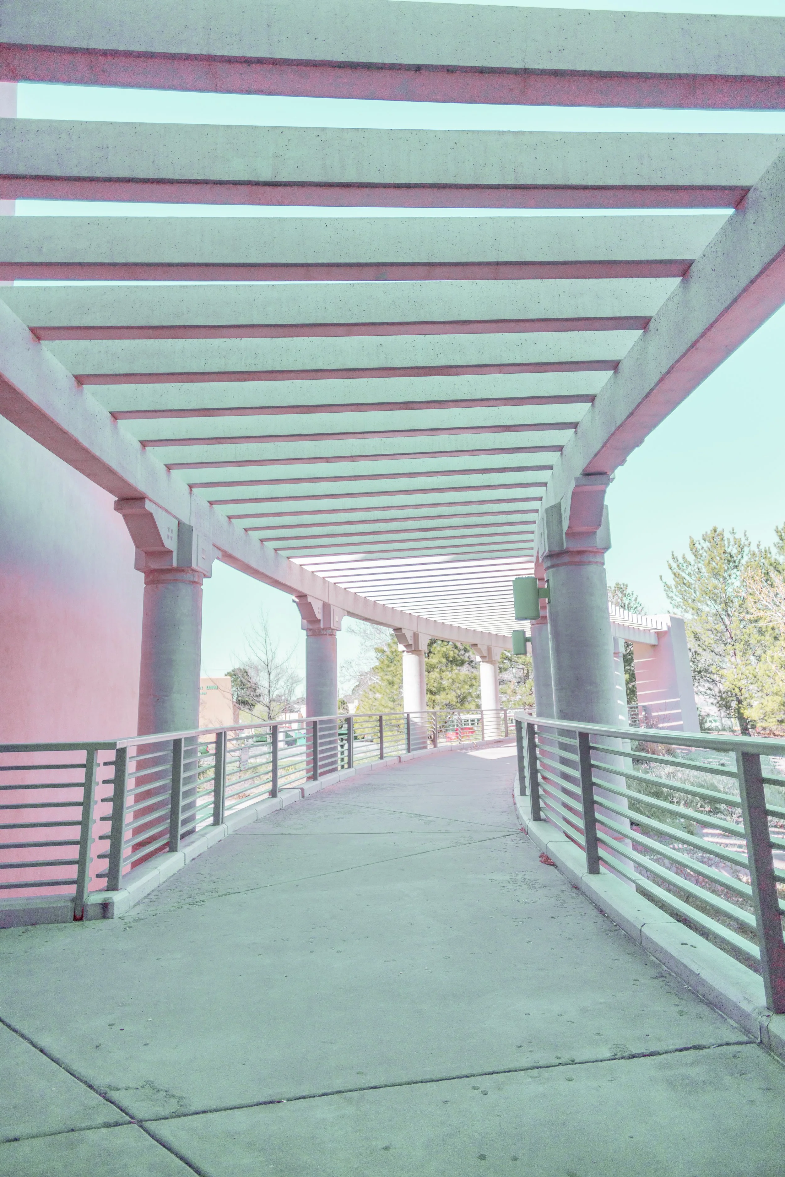 2W7A0420 copy.jpg