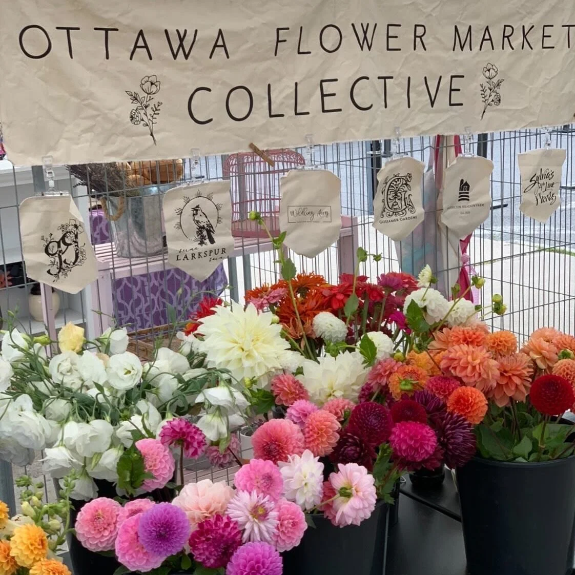 Ottawa Flower Market
