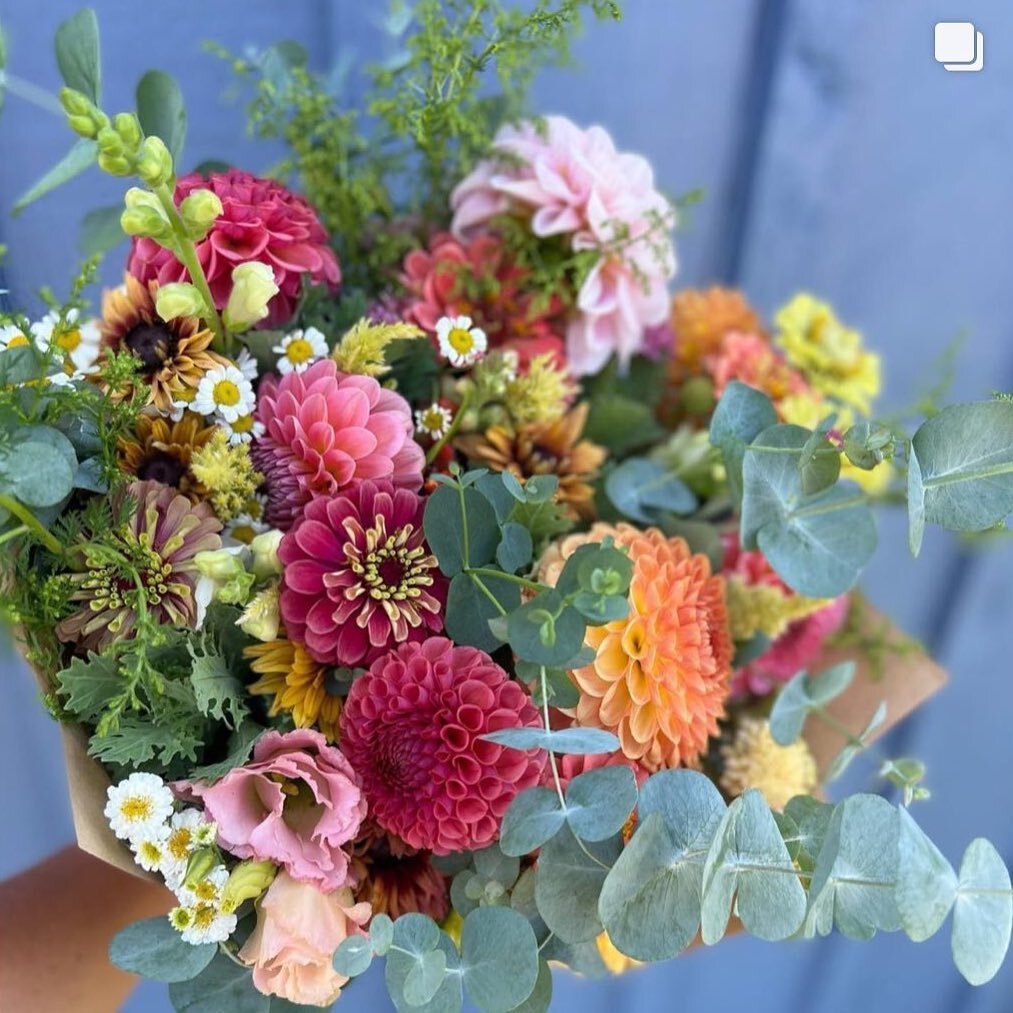 @adairgardens has a serious question for you all.

Dahlias, yay? Or nay?

We&rsquo;re dying to know your opinion.

#localflowers #ottawaflorist #ottawaflowers #dahlia #ontariogrownflorals #ontariofarmers #dahlialovers