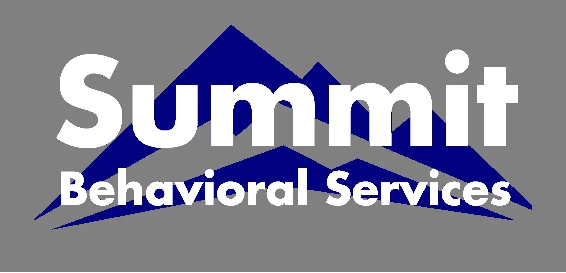 Summit Logo - Blue on Gray - White Font (1).jpg