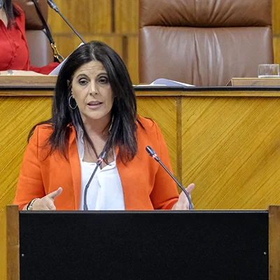 Ángeles Ferriz. Portavoz del PSOE en el Parlamento Andaluz
