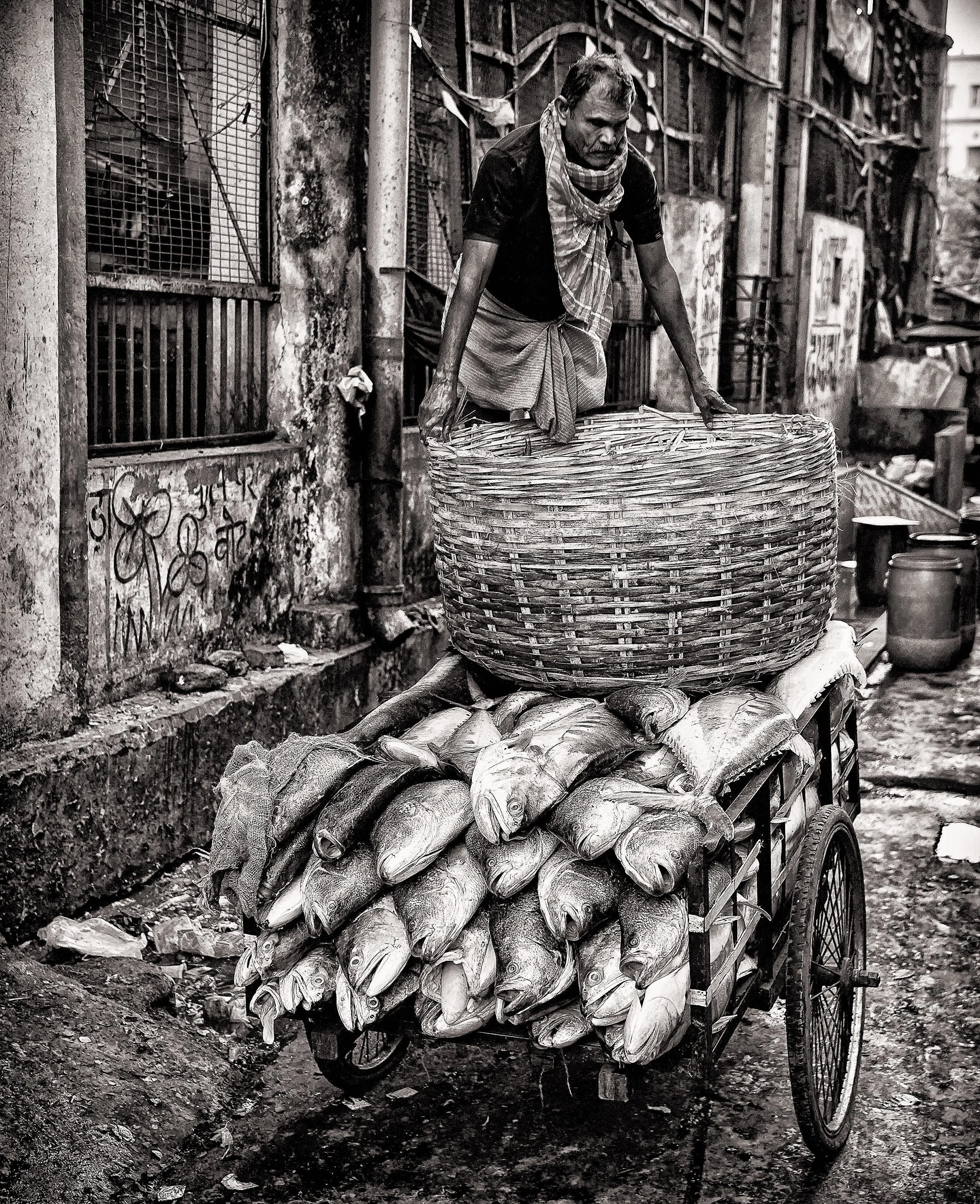 Fish Basket