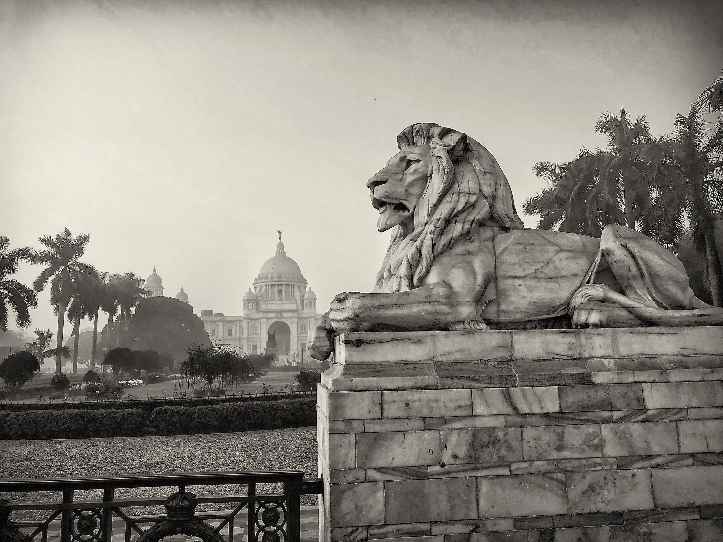 Lion 2.jpg