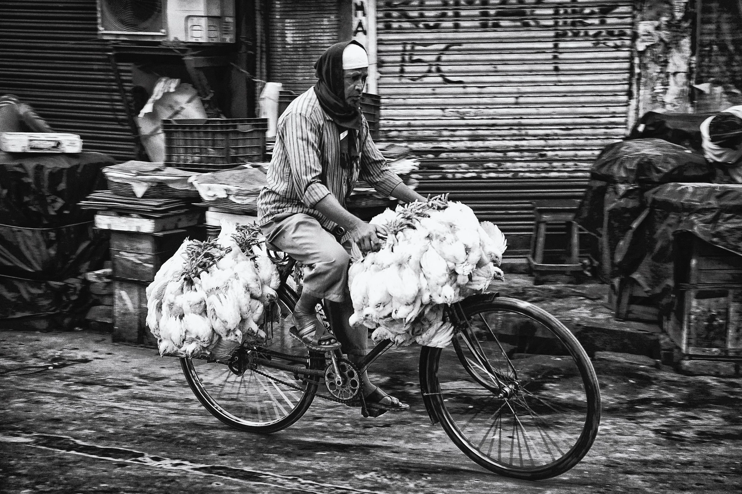 Chicken Bike