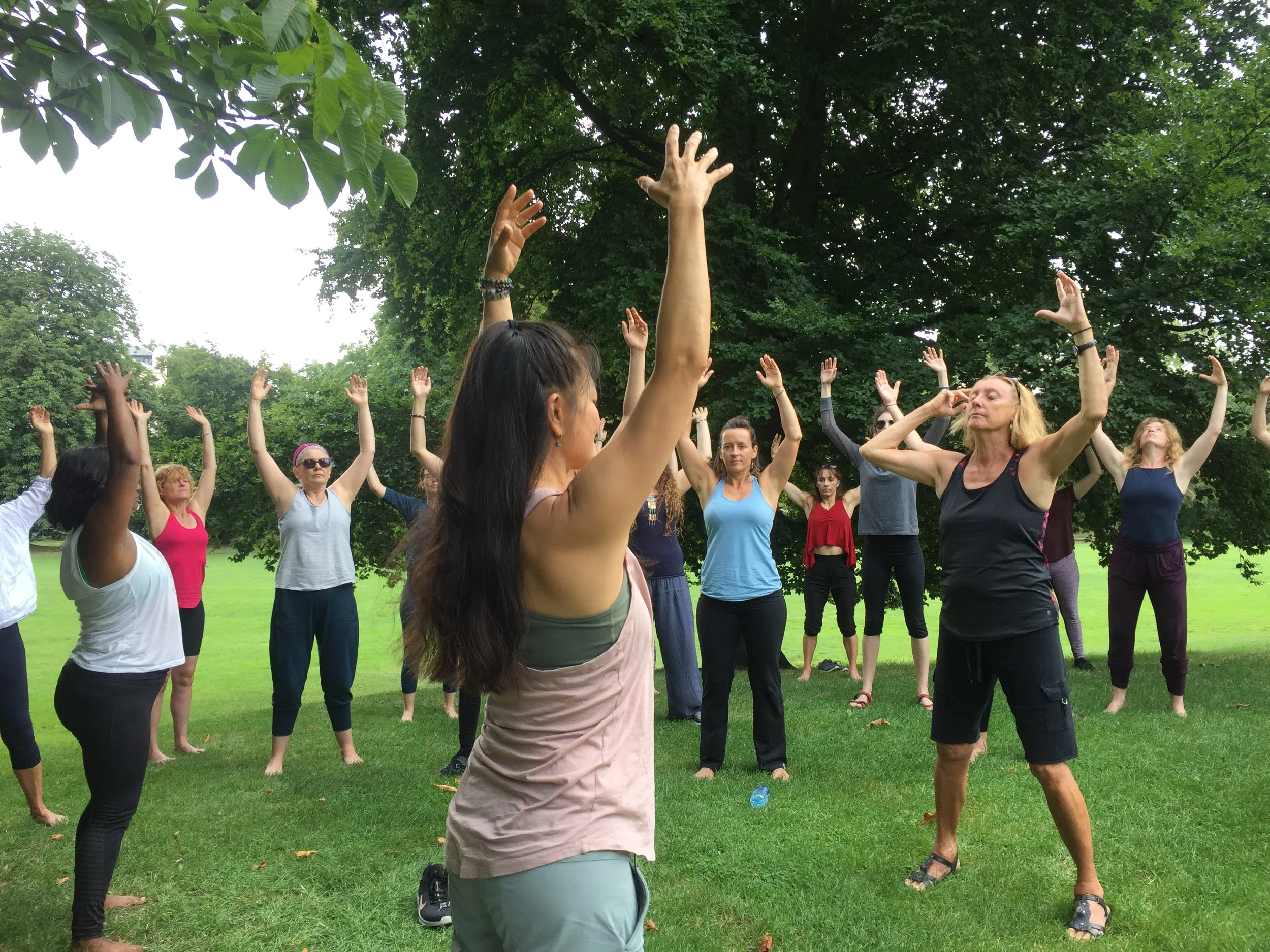 Vinyasa Immersion