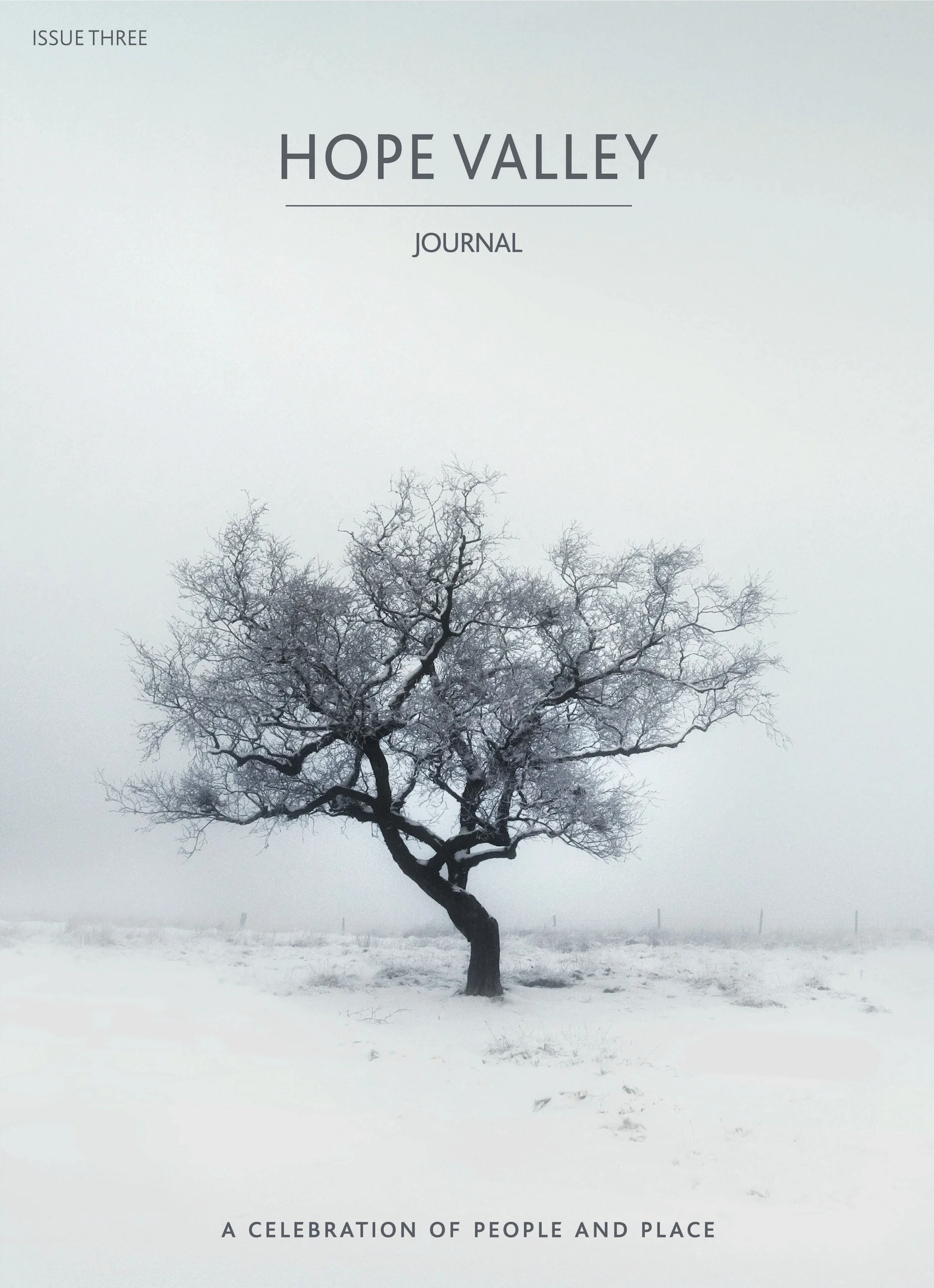 HVJ_Issue_3_Cover_jpeg.jpg