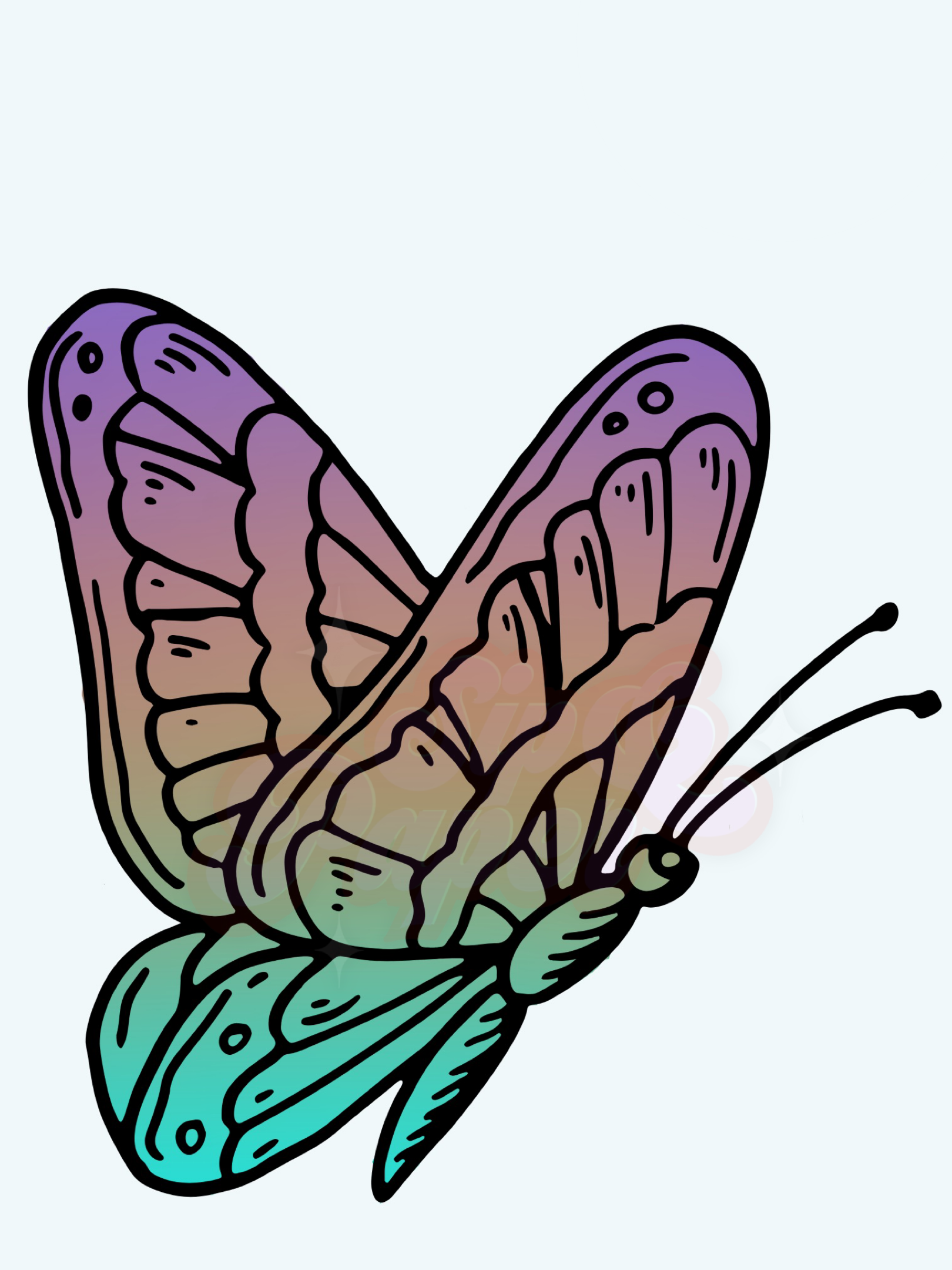 CE5599A9-50F4-4A72-BE05-03A6CCF8151C