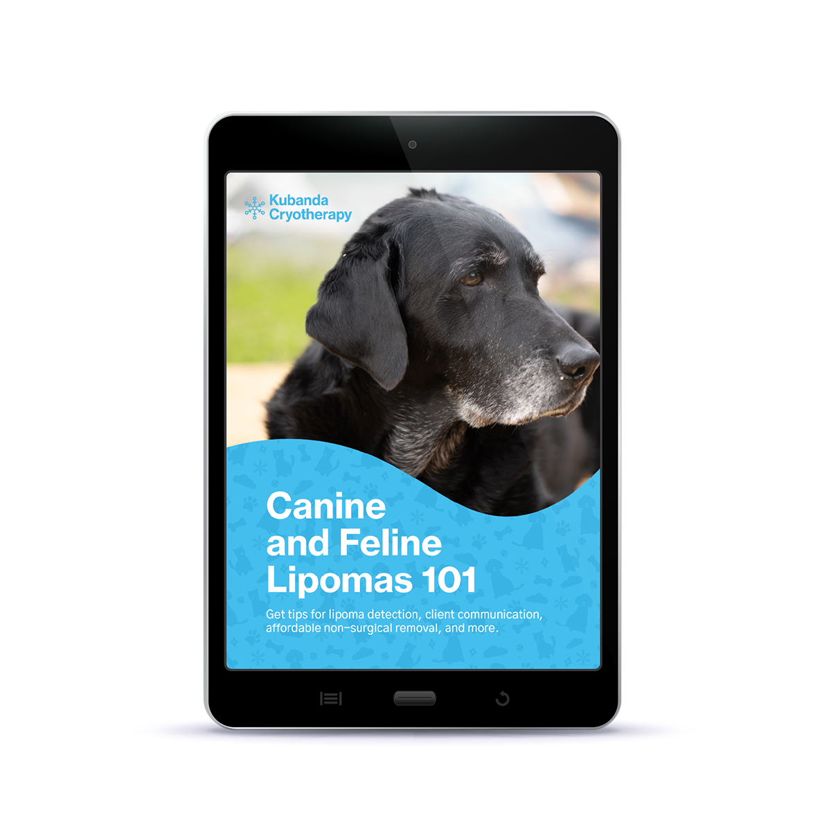 eBook | Canine and Feline Lipomas 101