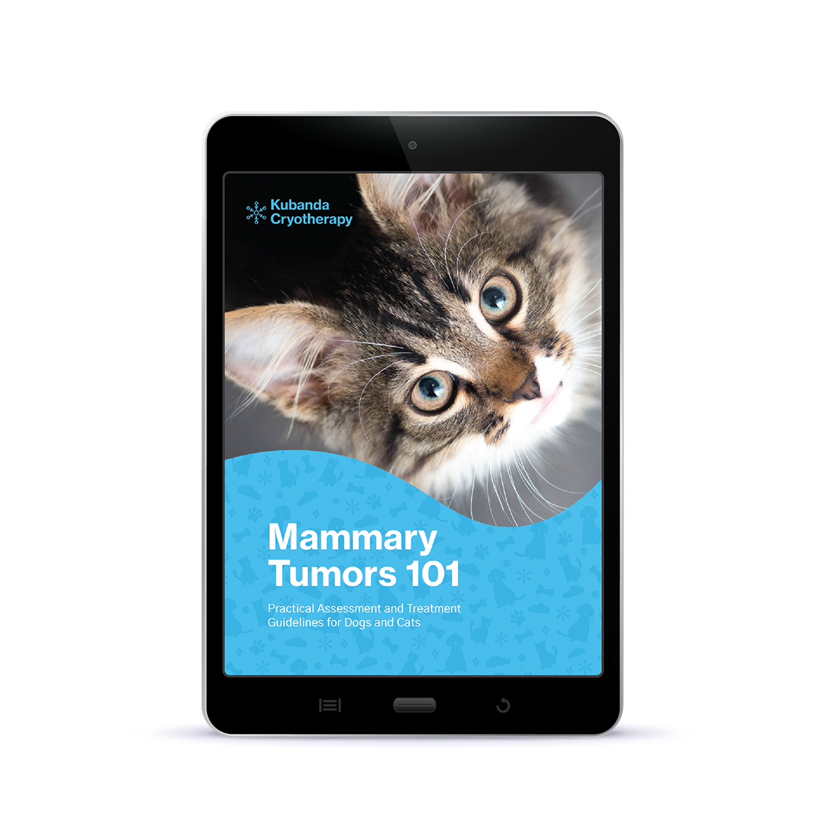 eBook | Mammary Tumors 101 - Practical Assessment and Treatment Guidelines for Dogs and Cats