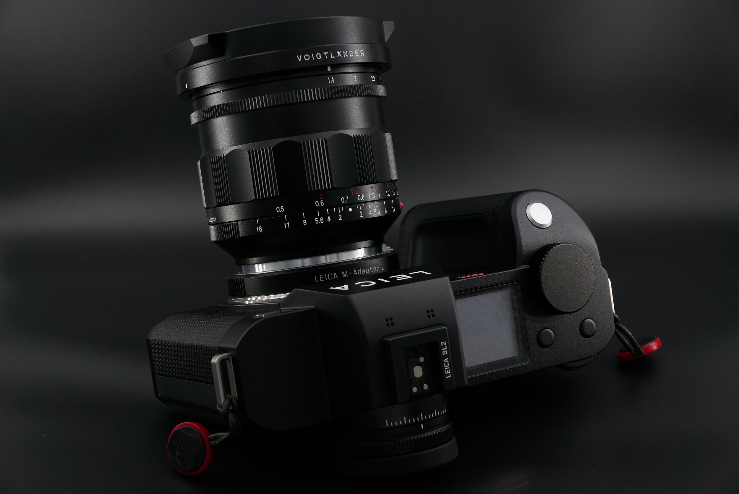 SL2: LONG TERM REVIEW