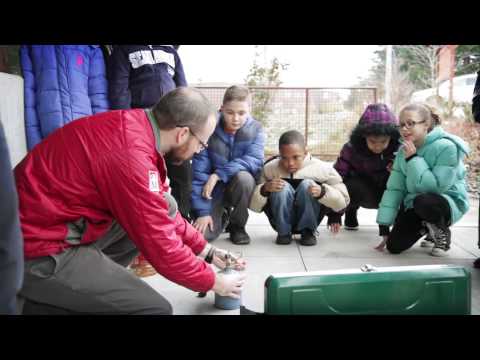 Why We Volunteer