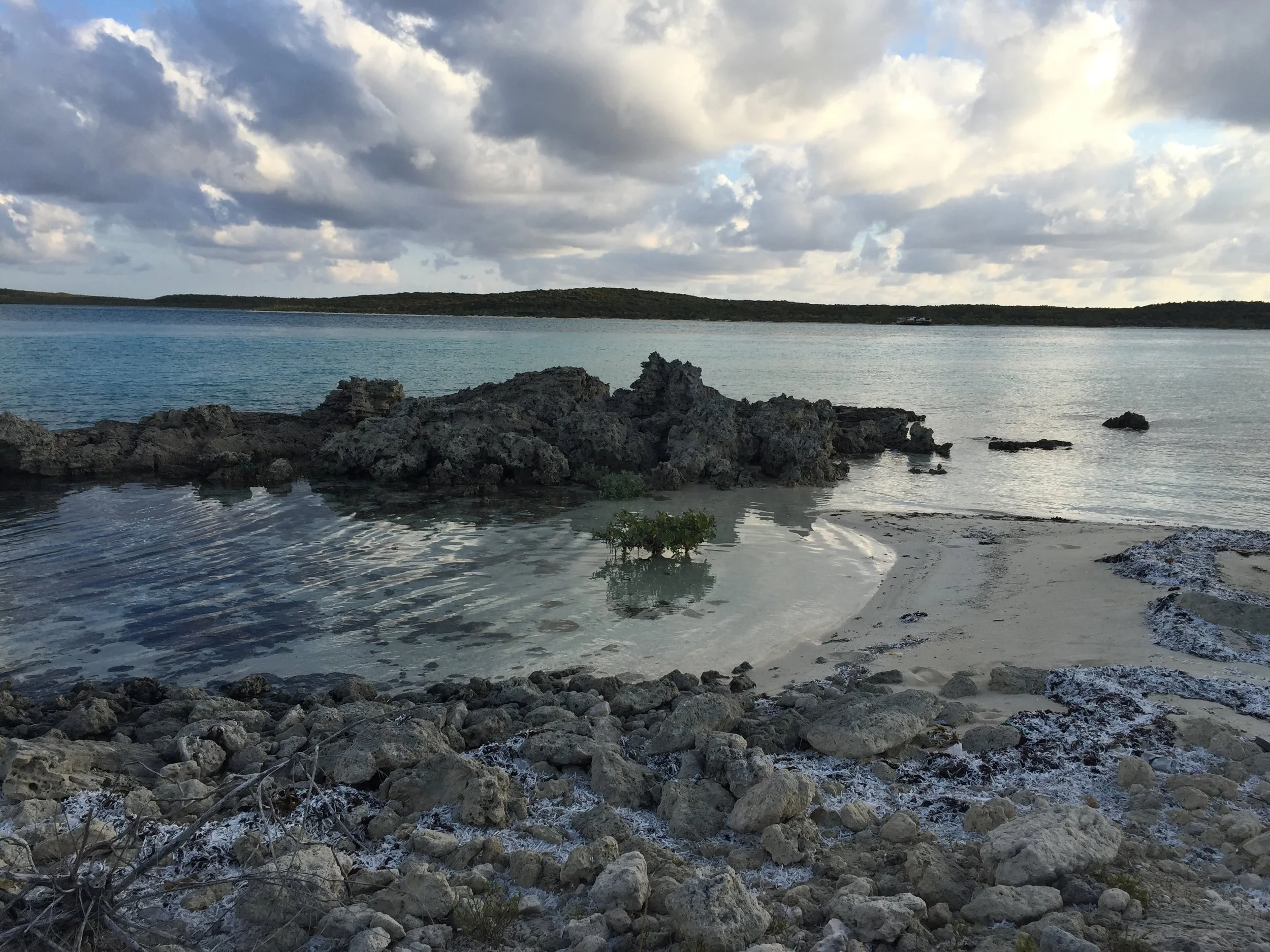 2015-03-18-07-59-43.jpg
