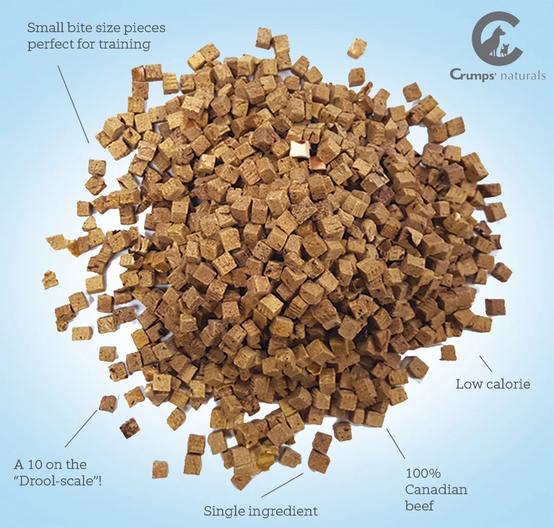 beef trainers mini picture.jpg