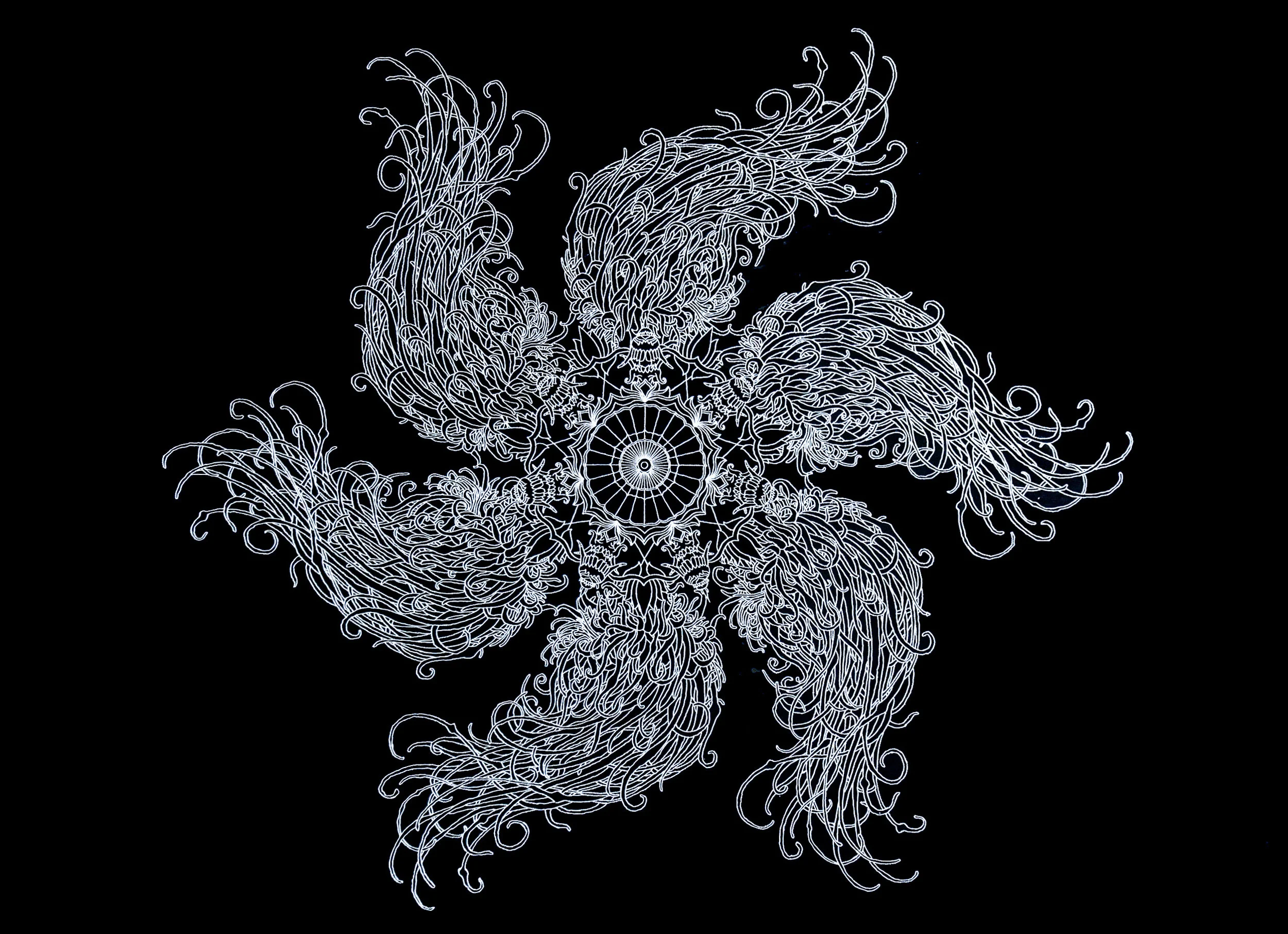work-anemone.jpg