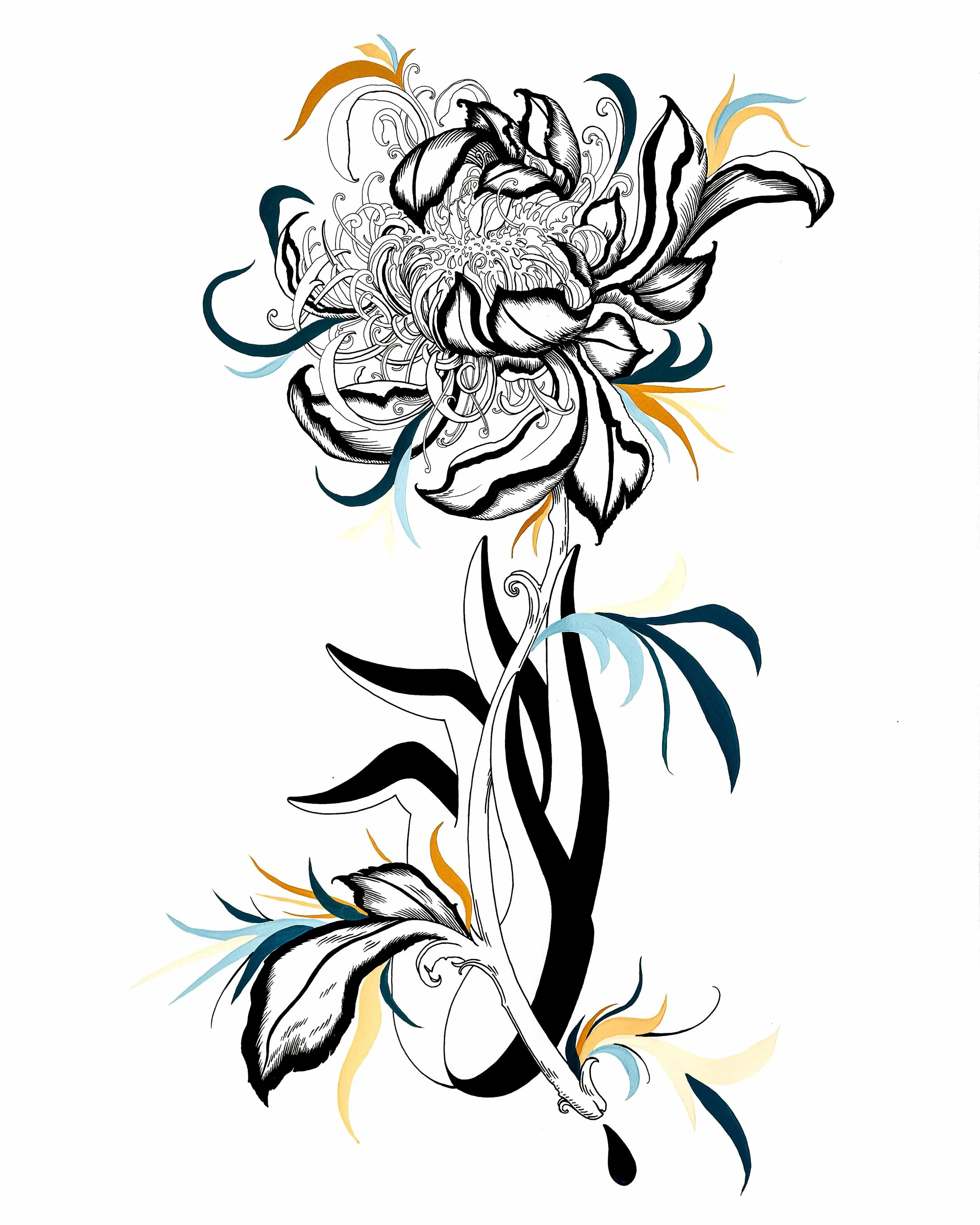 Bloom
