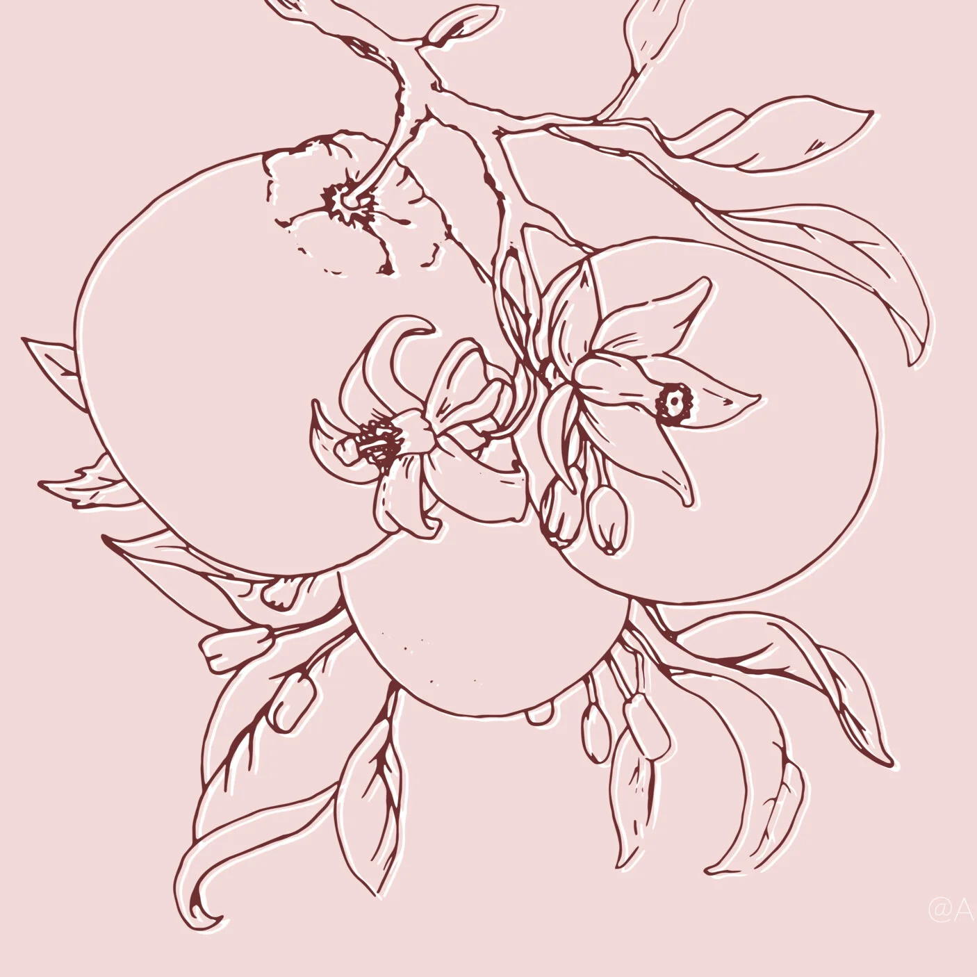 I needed a background