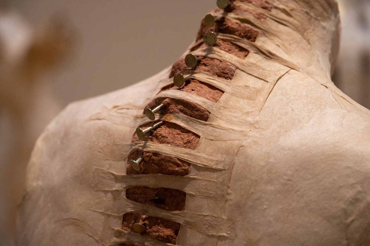 I took some photos for the papers