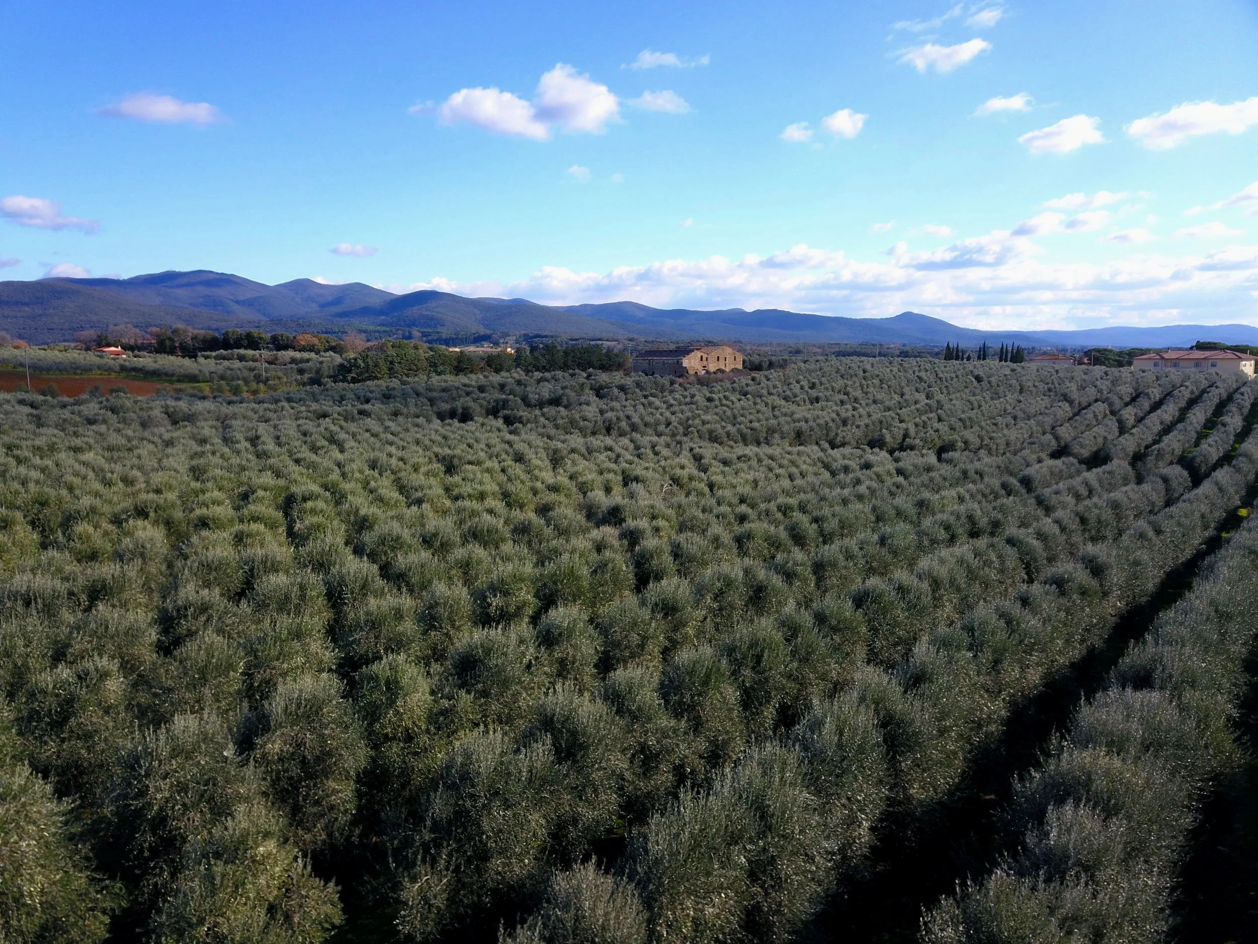 DJI_0143.jpg