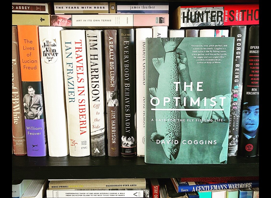 THE HOUR NIGH: THE OPTIMIST IS COMING — The Contender