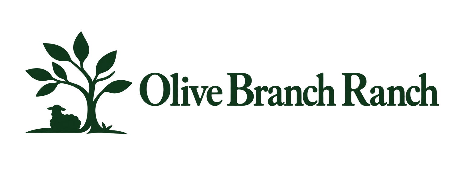 The Olive Branch Ranch