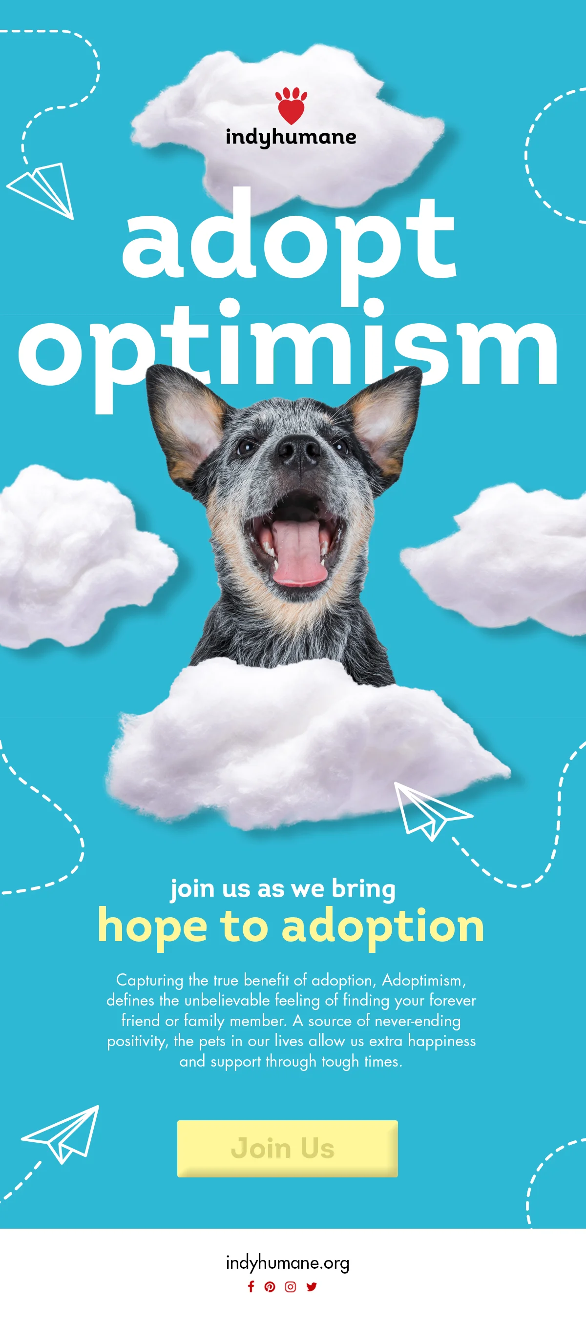 20134_IndyHumane_Adoptimism_Concept_Eblast_R1a.jpg