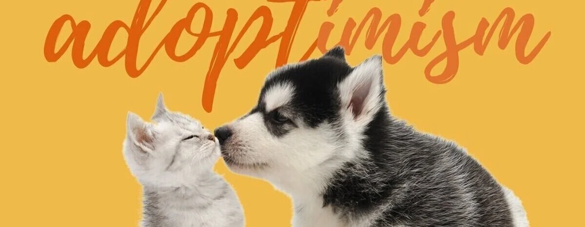 20134_IndyHumane_Adoptimism_Concept_Eblast_R1b.jpg