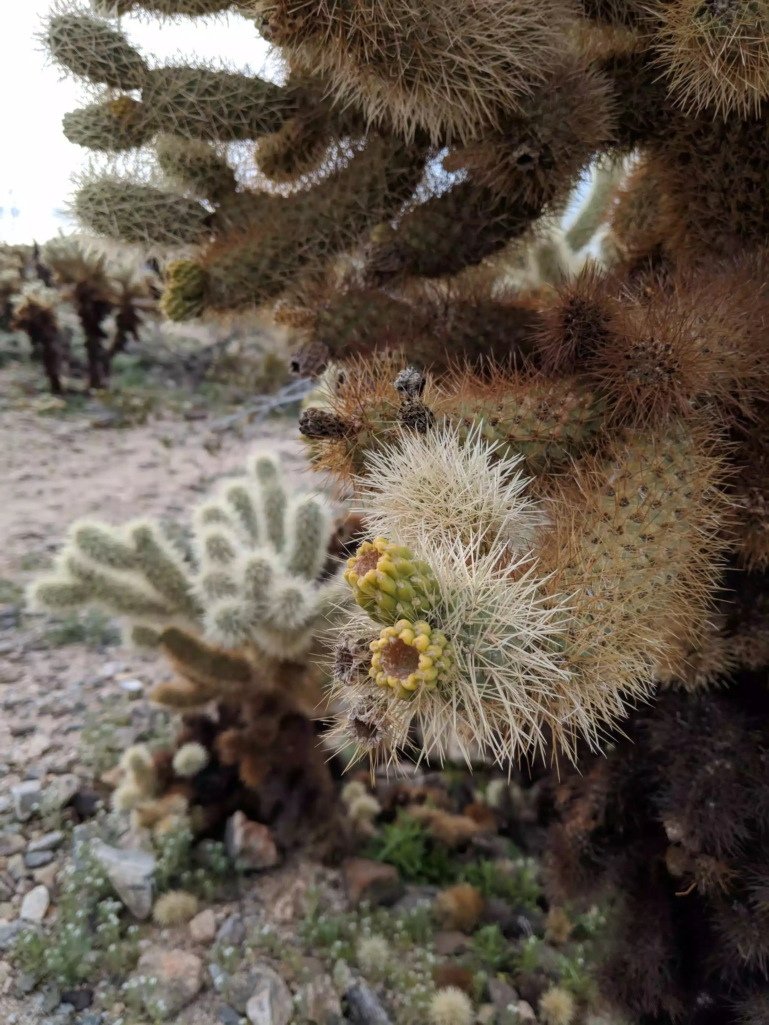 Preparing for Transition