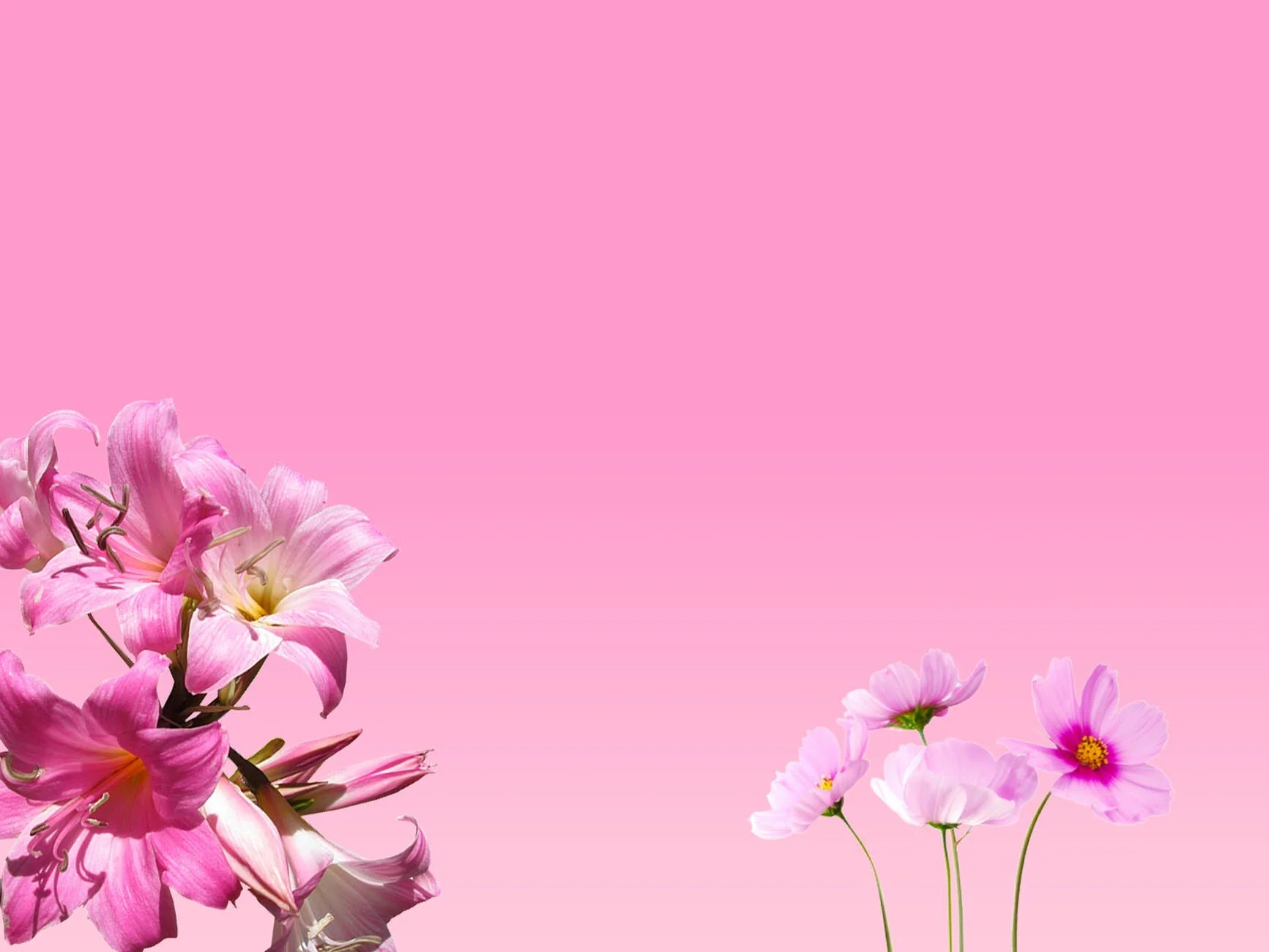 How To Stay Motivated When You Fell Like Giving Up