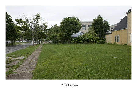 157 Lemon.jpg
