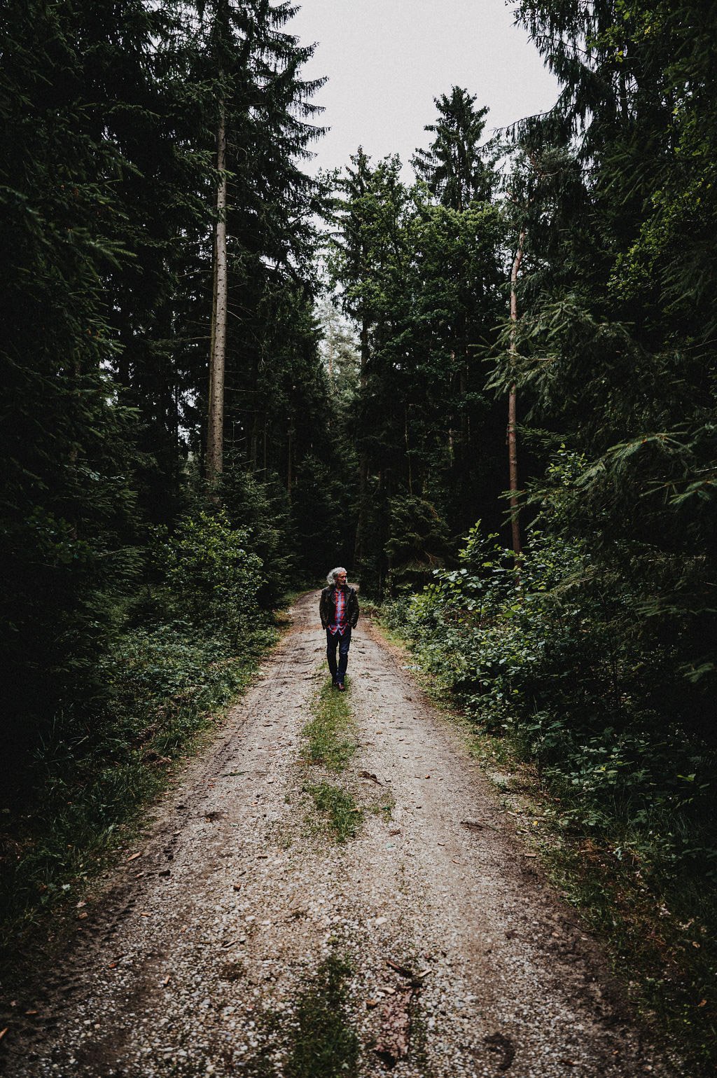 Mann mit Gitarre im Wald