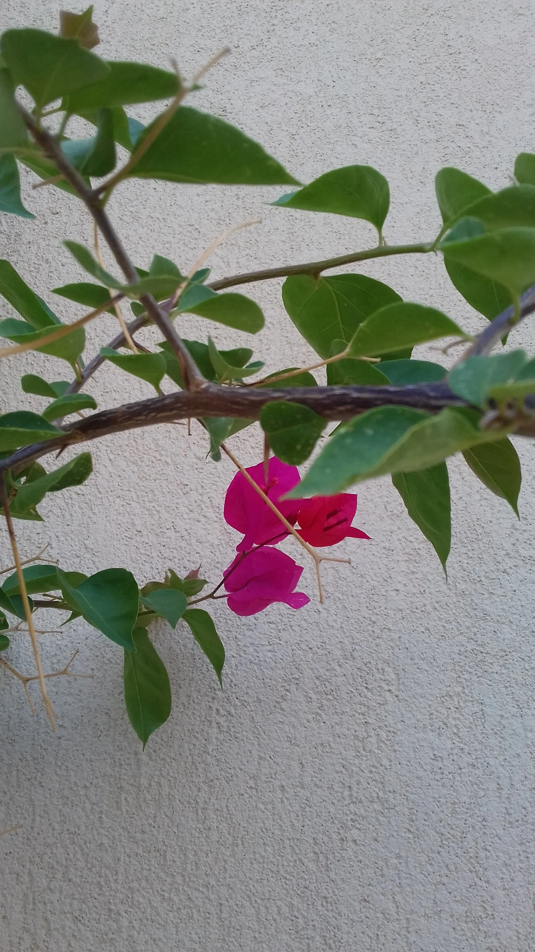 20180829_075802.jpg