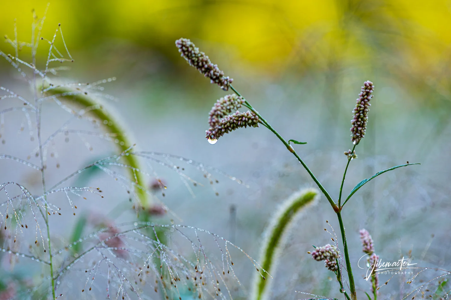 Nature's Nourishment