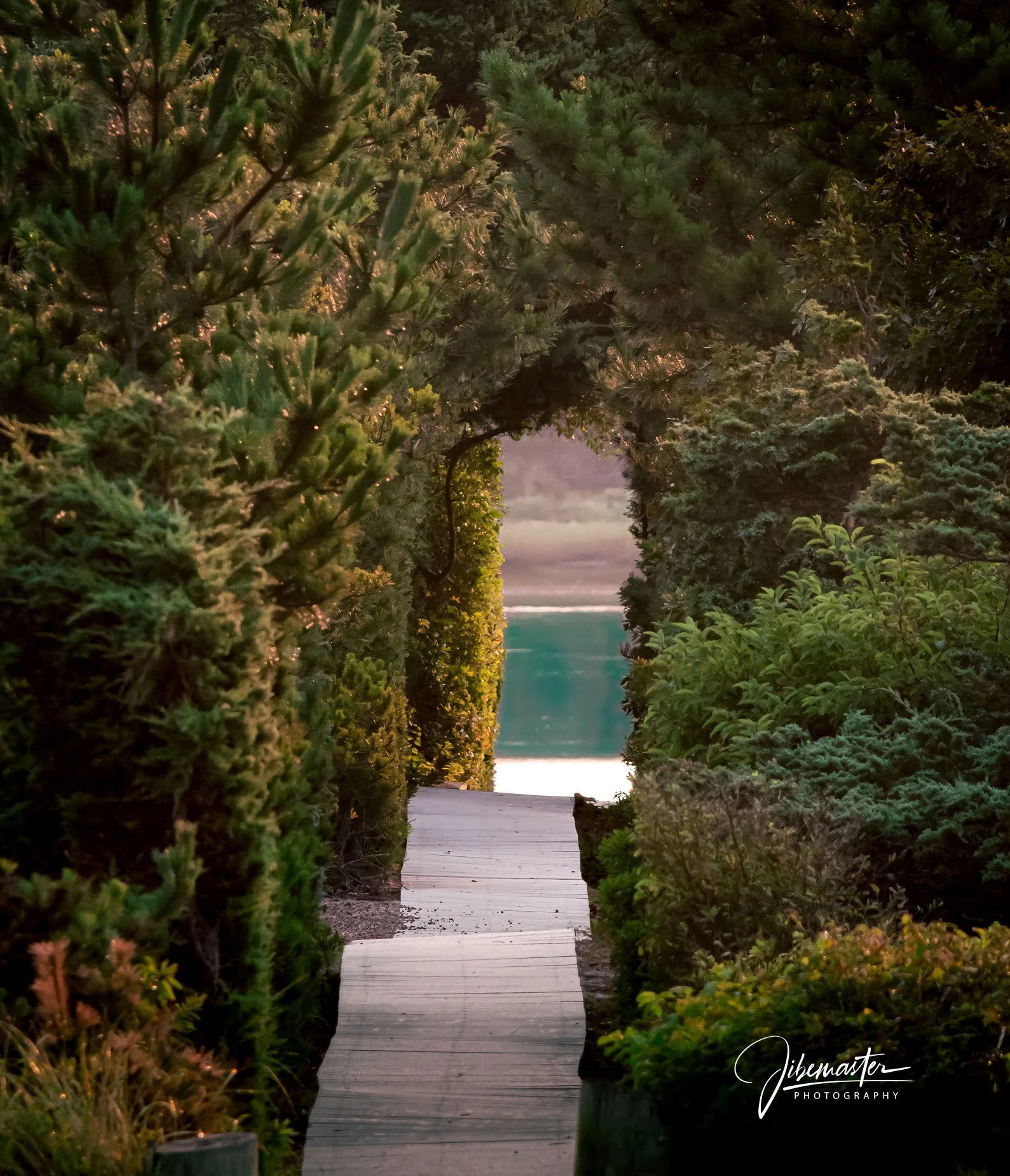 JMP Website  - Pathway to Paradise (1 of 1).jpg