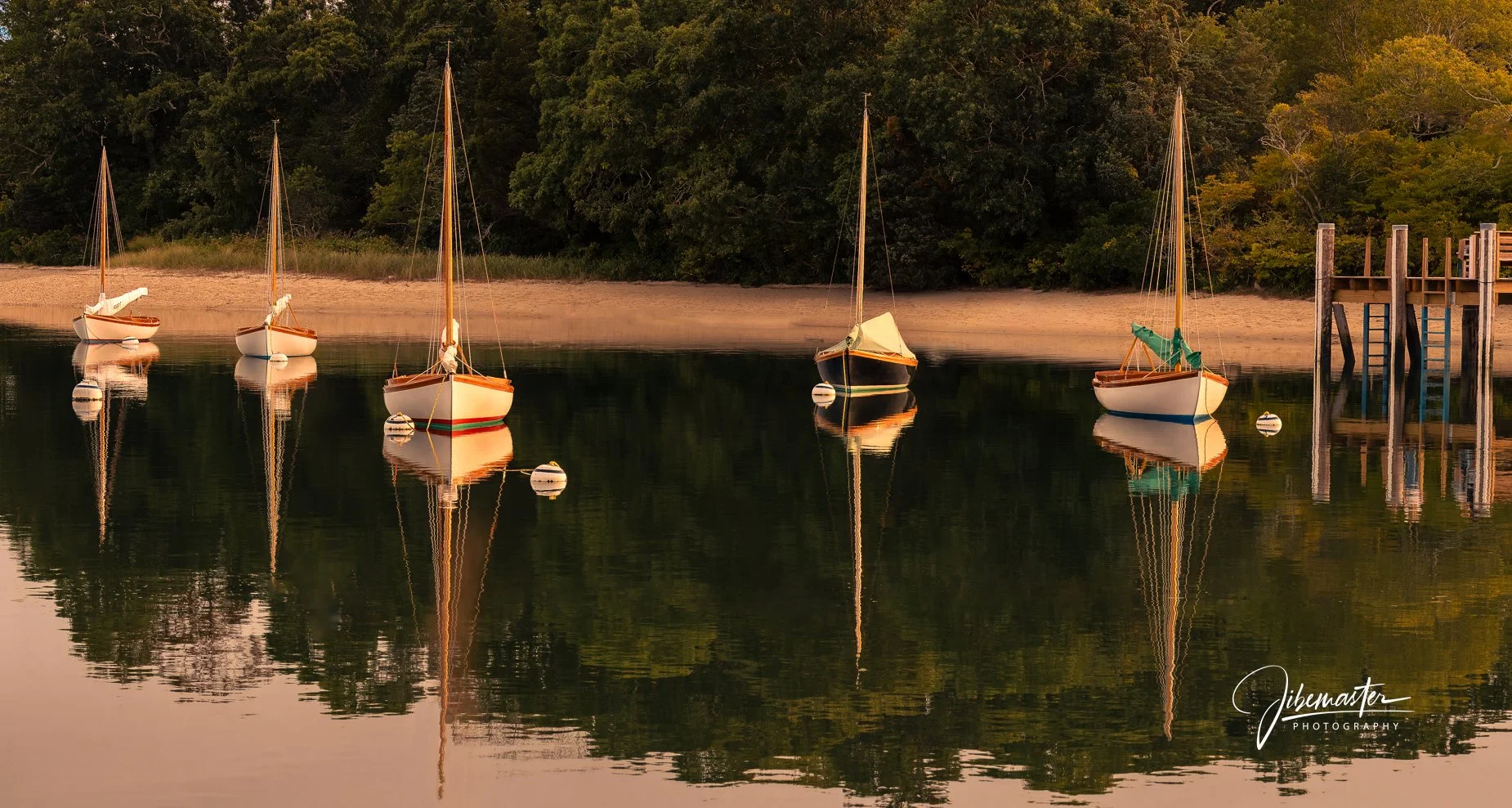 REFLECTIONS