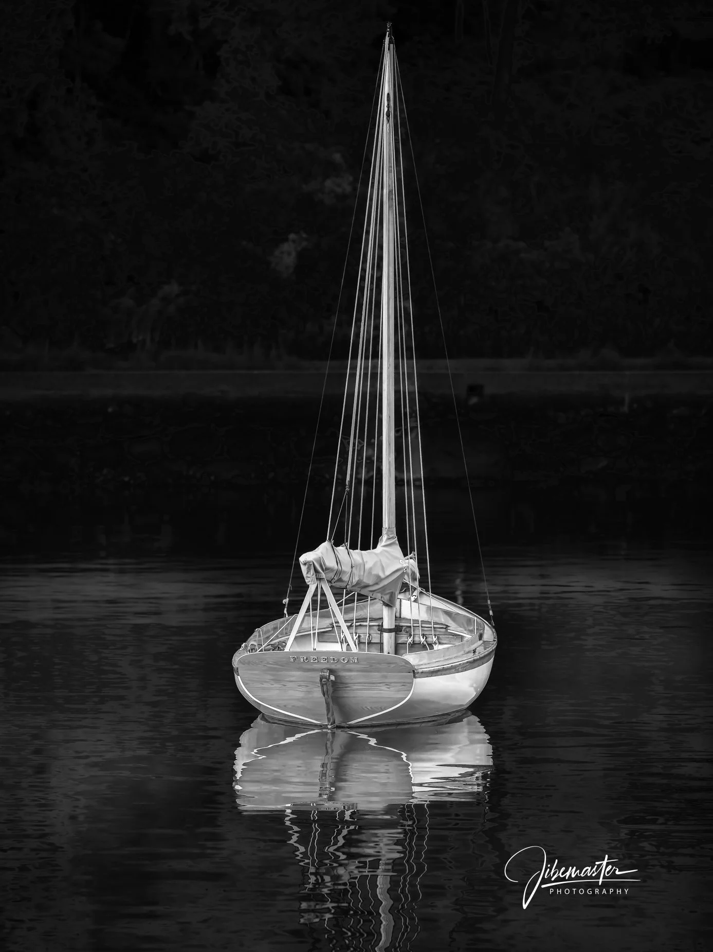 FREEDOM - B&W